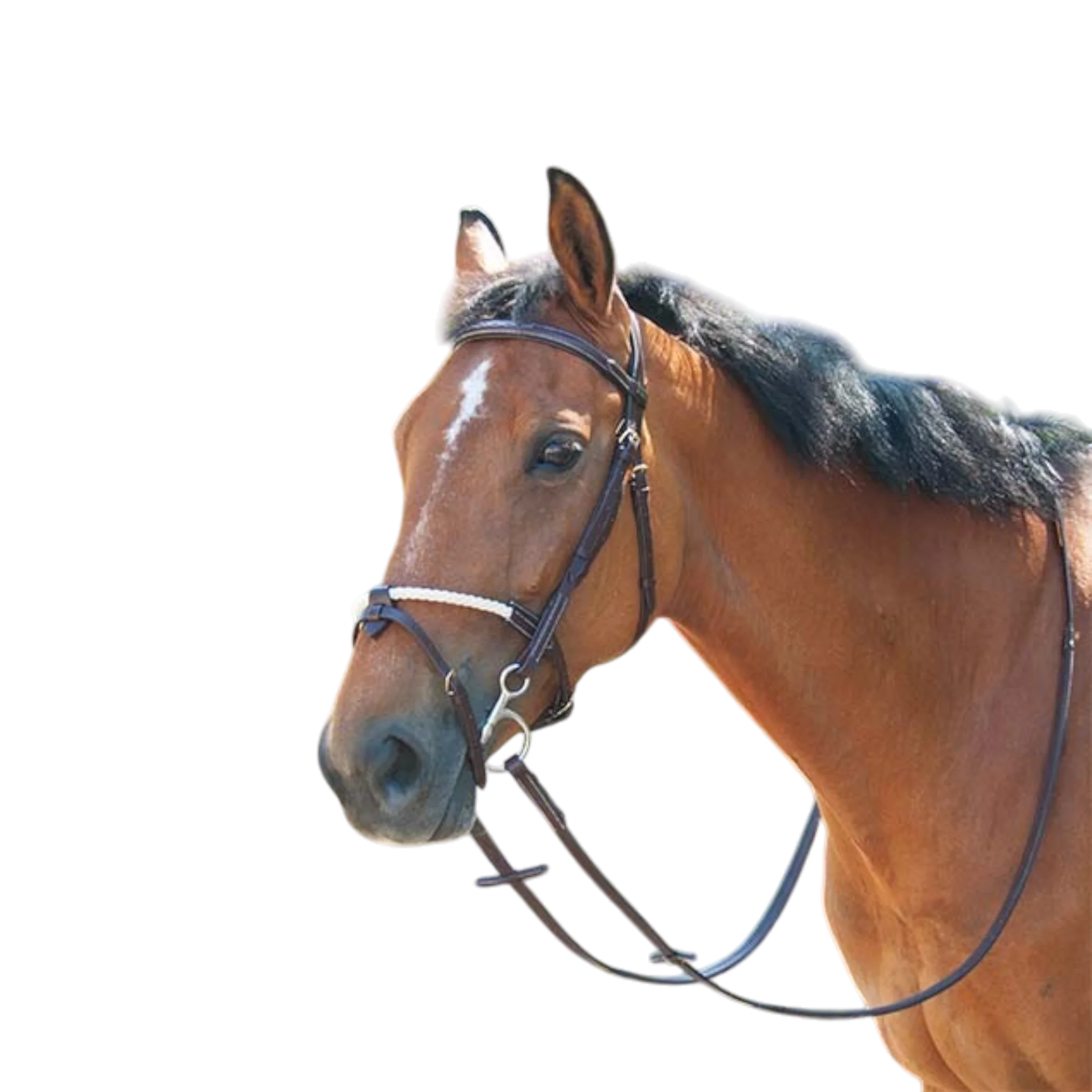 TdeT - Muserolle cuir et corde havane foncé