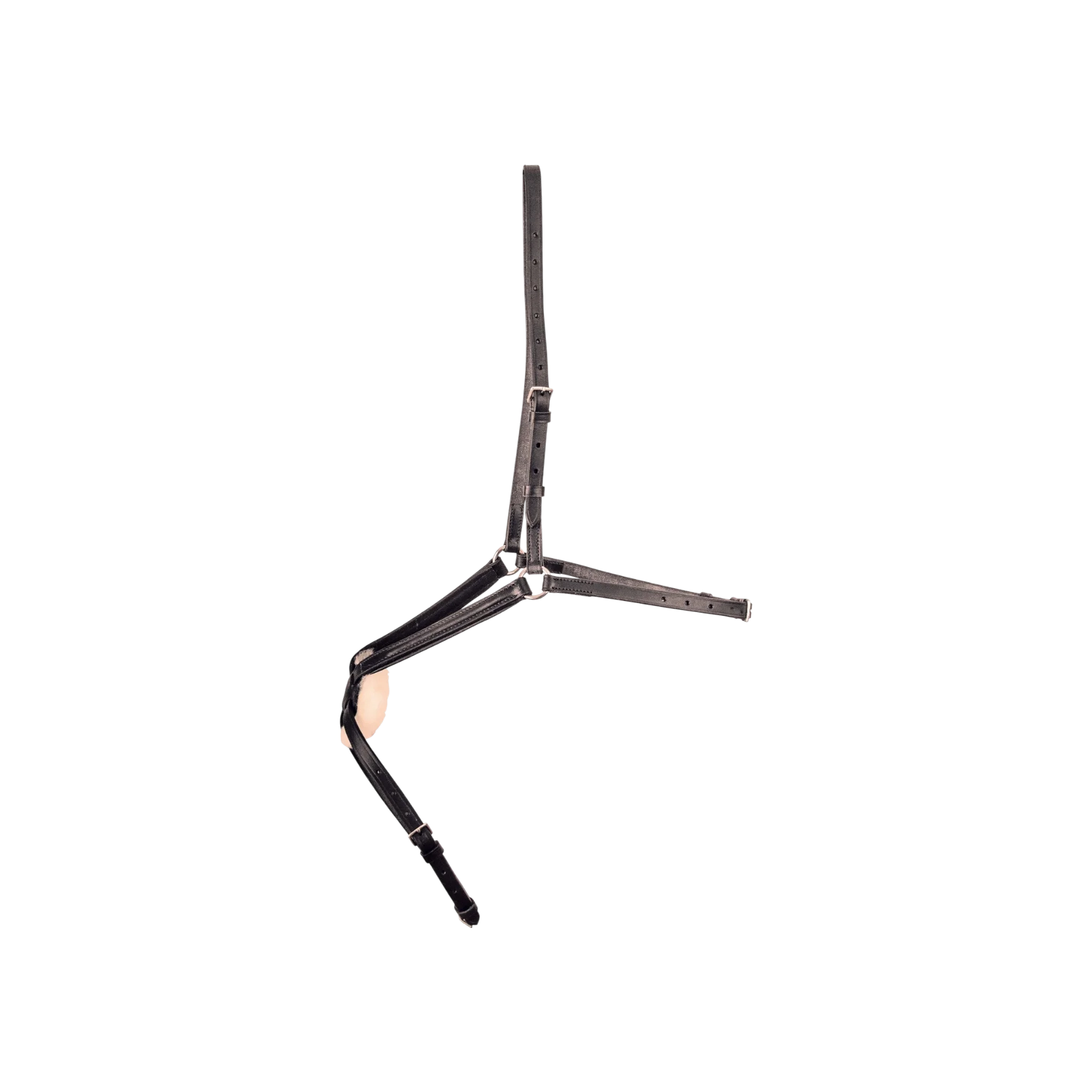 TdeT - Muserolle croisée noir