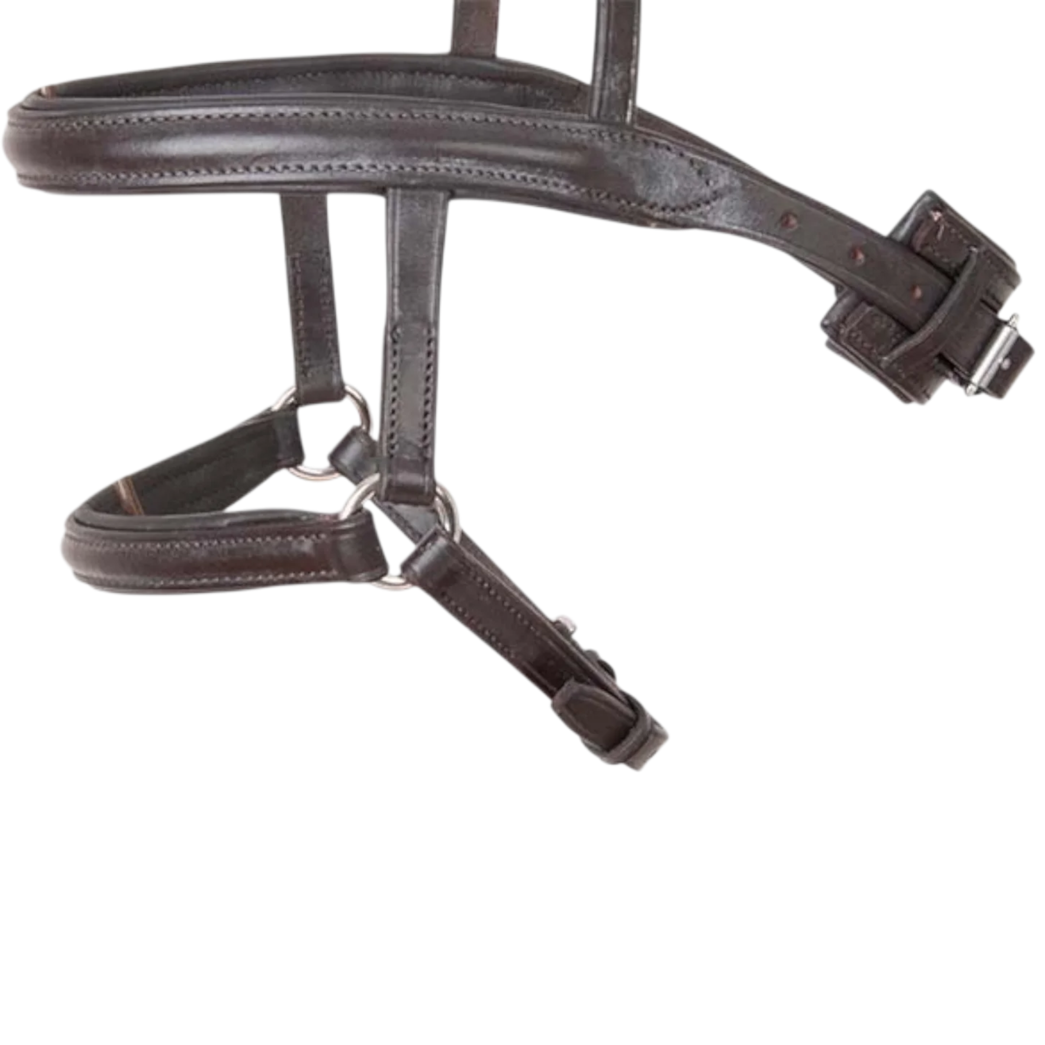 TdeT - Muserolle mixte havane foncé