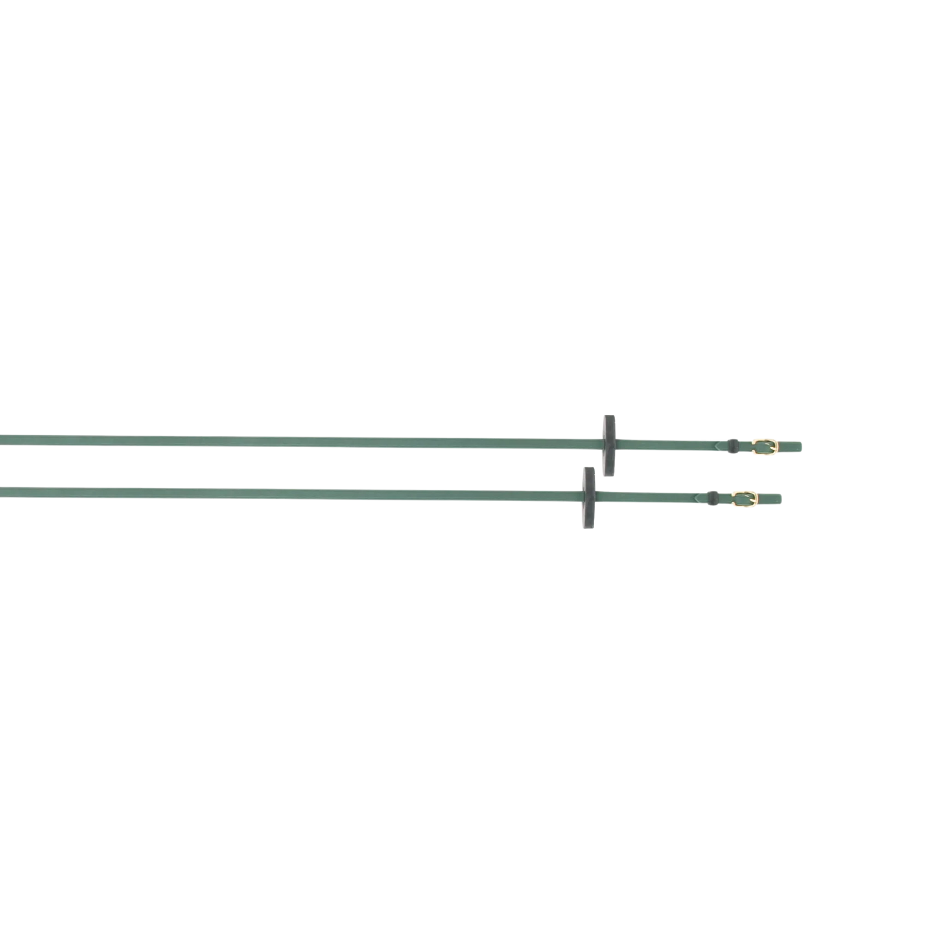 TdeT - Renes Biotack® lisses vert foncé