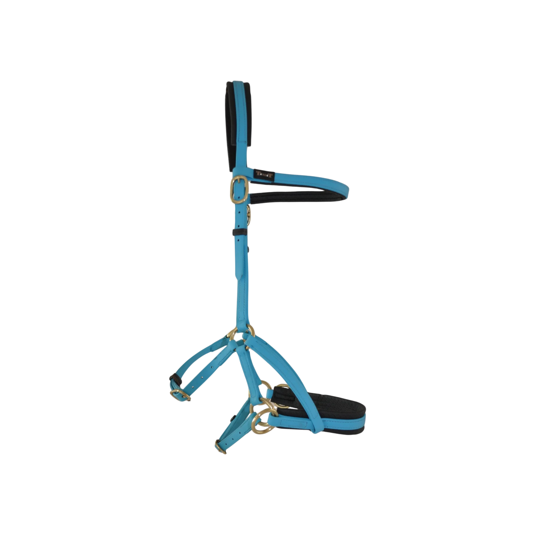 TdeT - Bridon Sidepull Biotack® bleu ciel