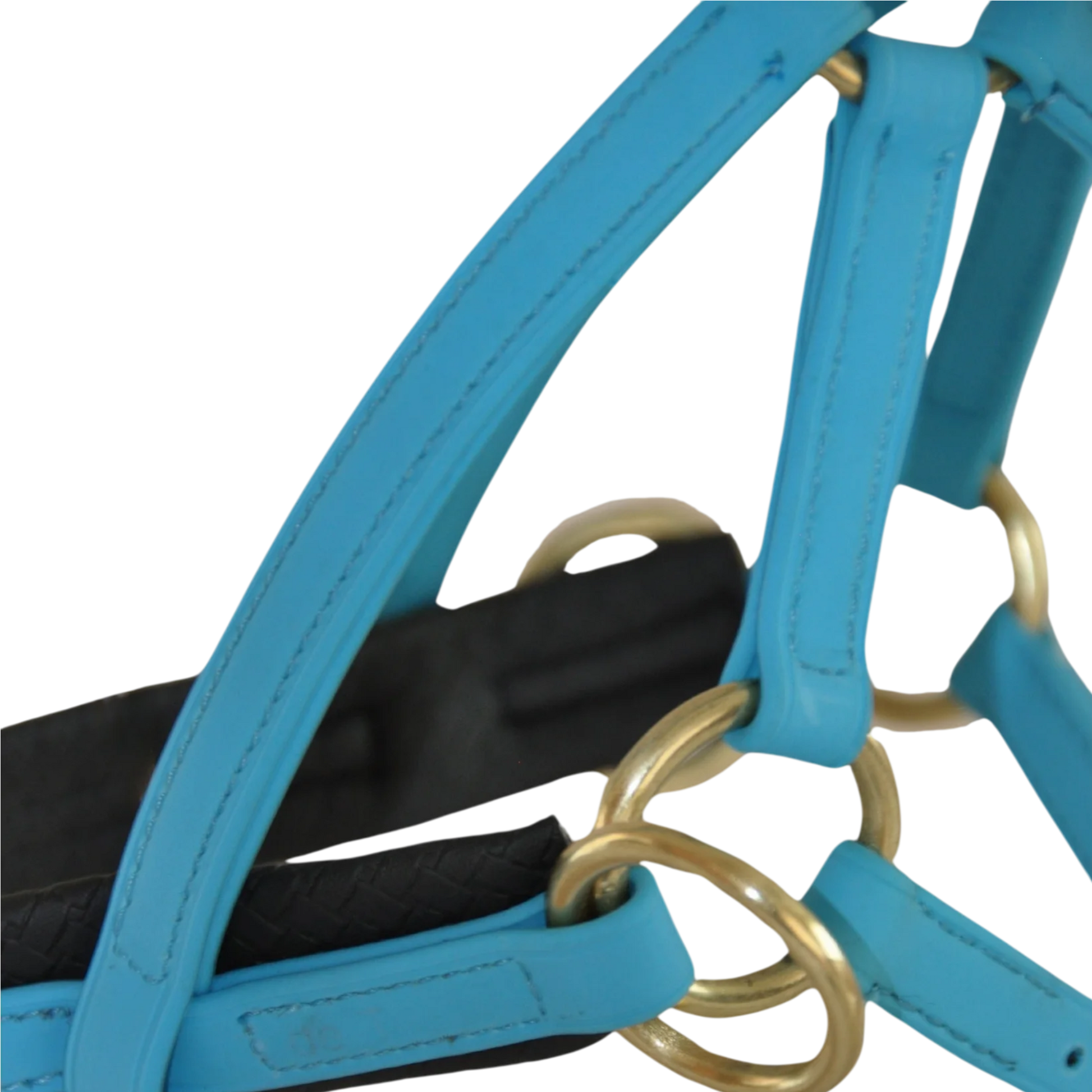 TdeT - Bridon Sidepull Biotack® bleu ciel