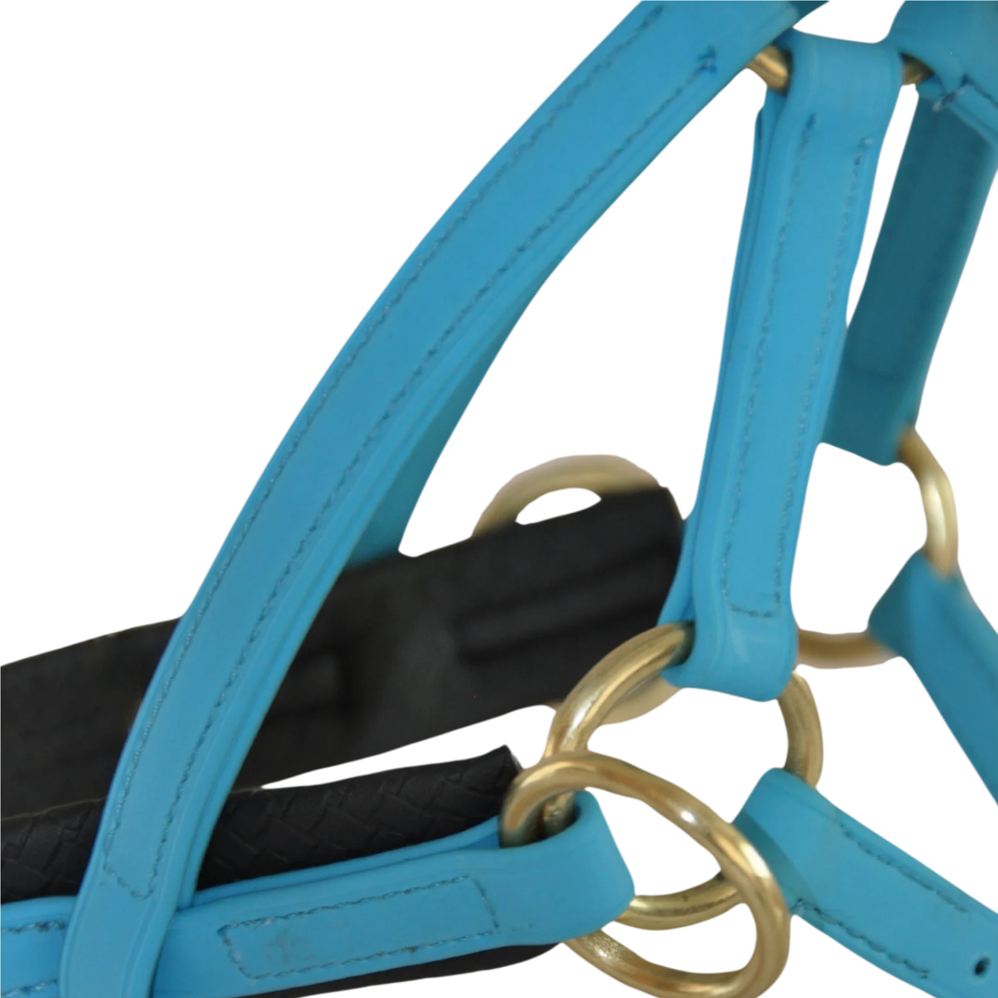 TdeT - Bridon Sidepull Biotack® bleu ciel