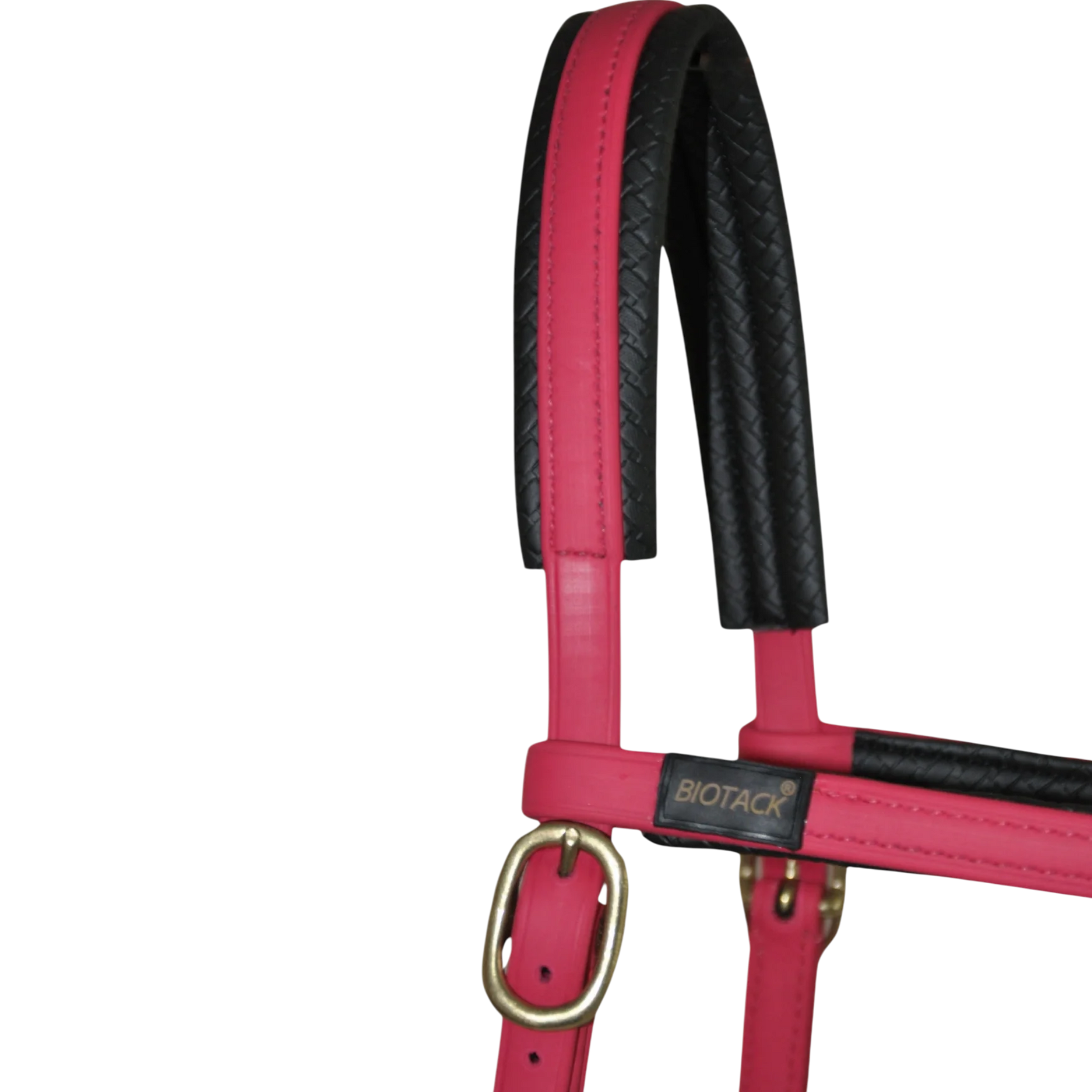 TdeT - Bridon Sidepull Biotack® fuchsia