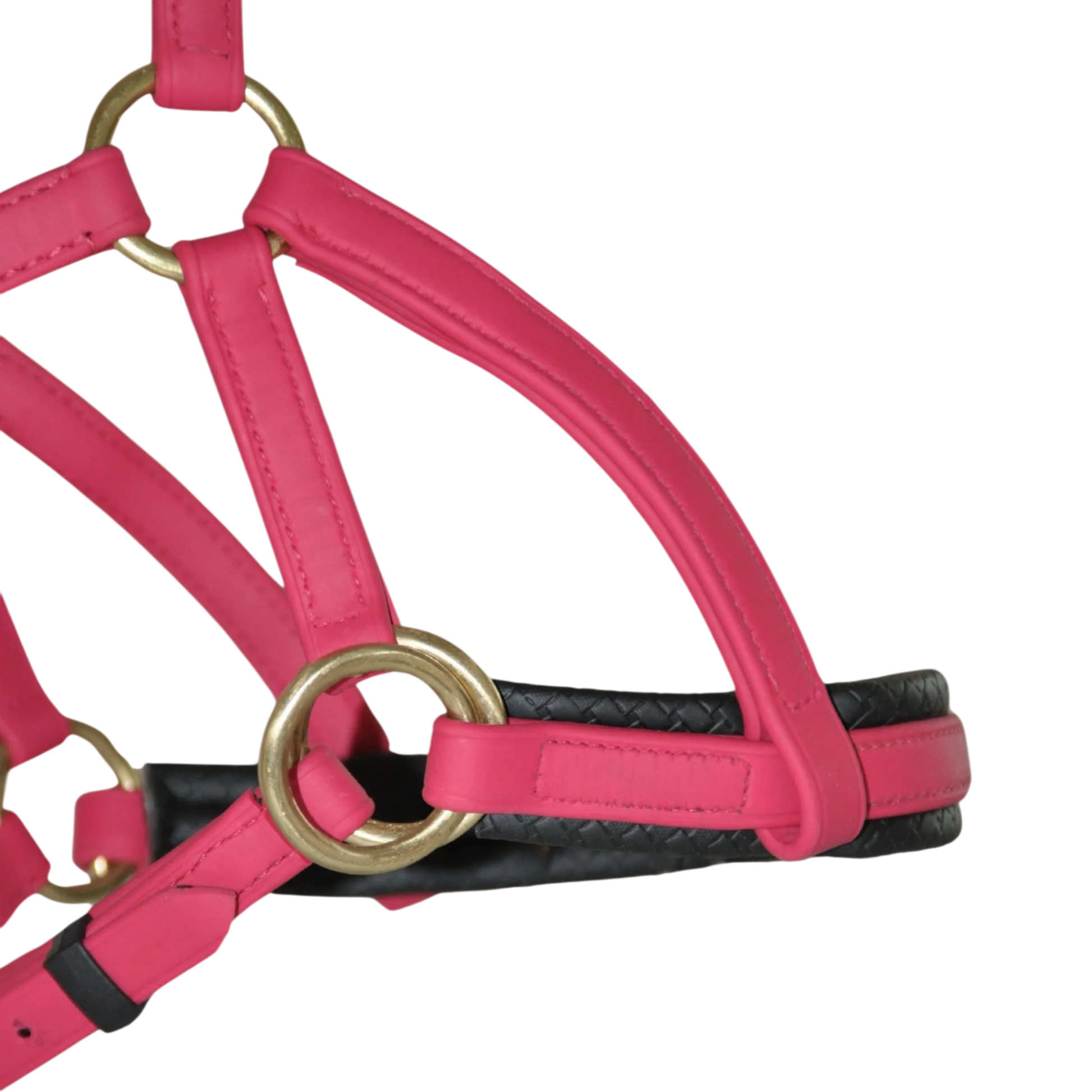 TdeT - Bridon Sidepull Biotack® fuchsia