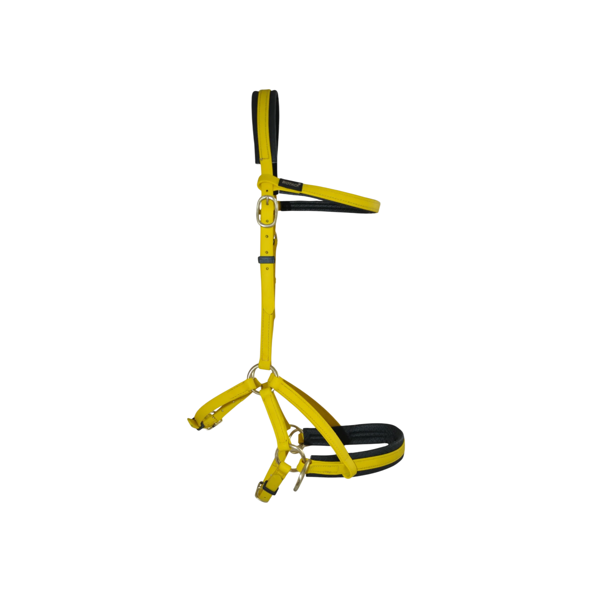 TdeT - Bridon Sidepull Biotack® jaune