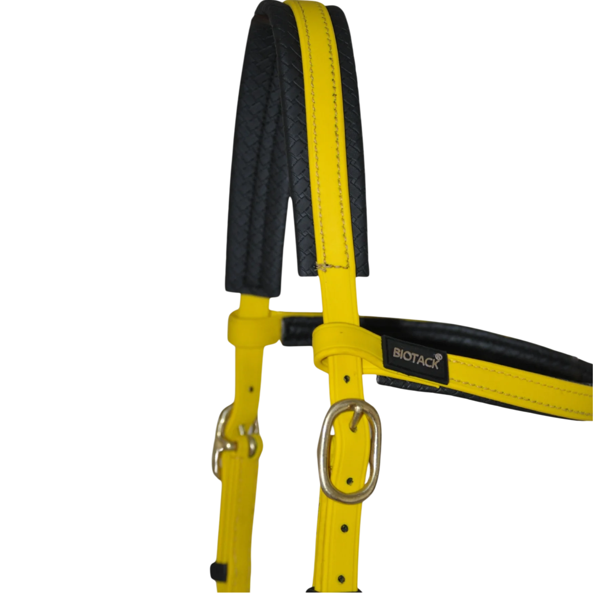 TdeT - Bridon Sidepull Biotack® jaune
