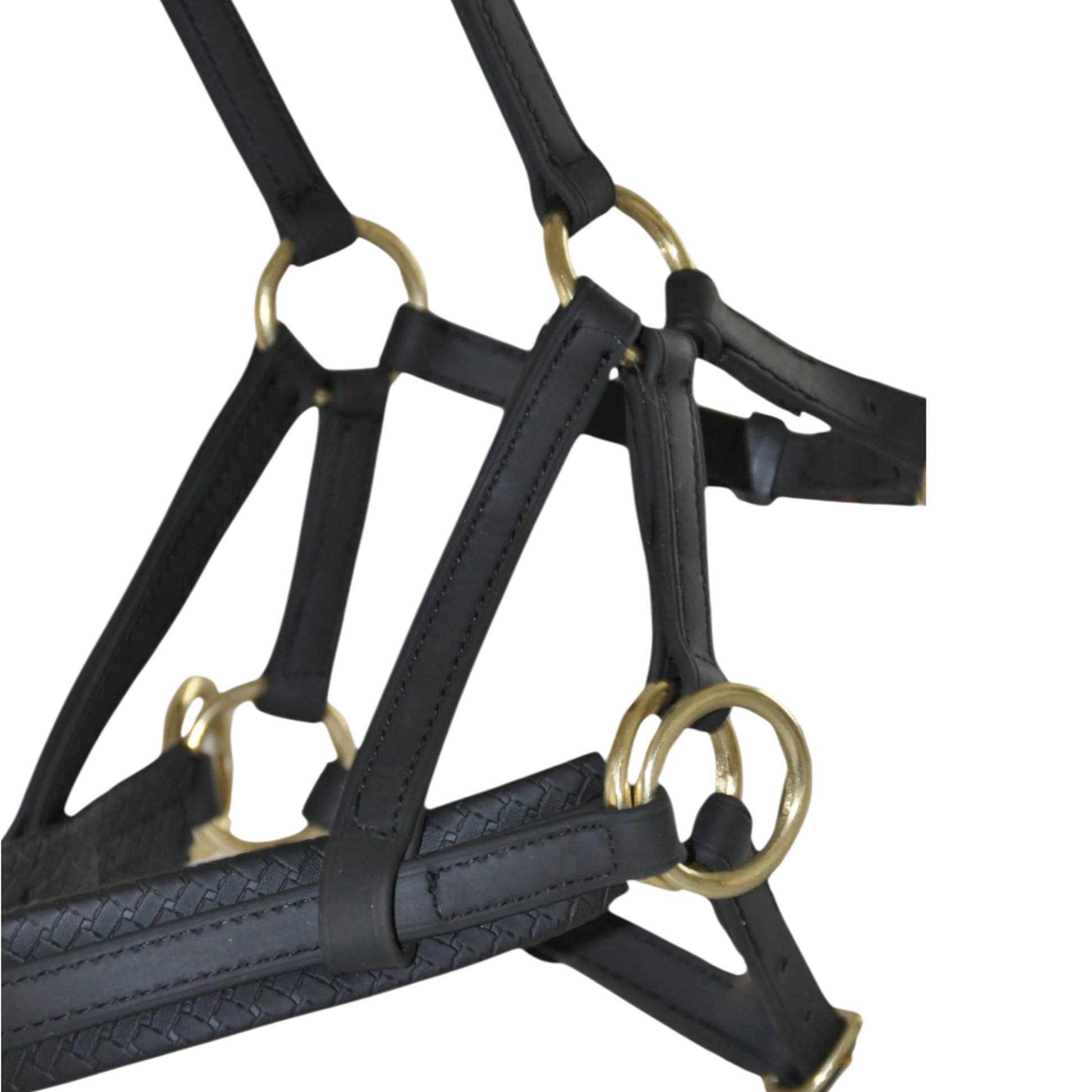 TdeT - Bridon Sidepull Biotack® noir