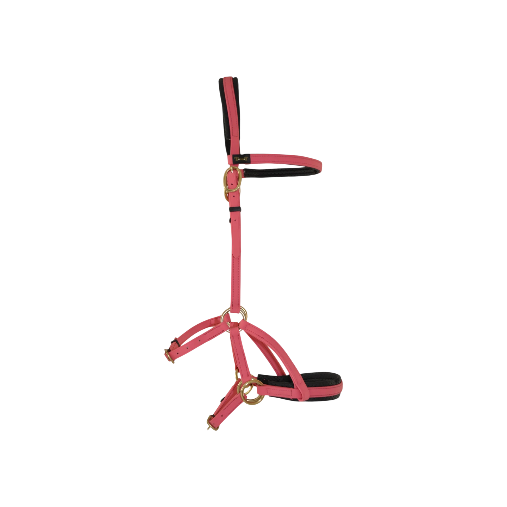 TdeT - Bridon Sidepull Biotack® rose