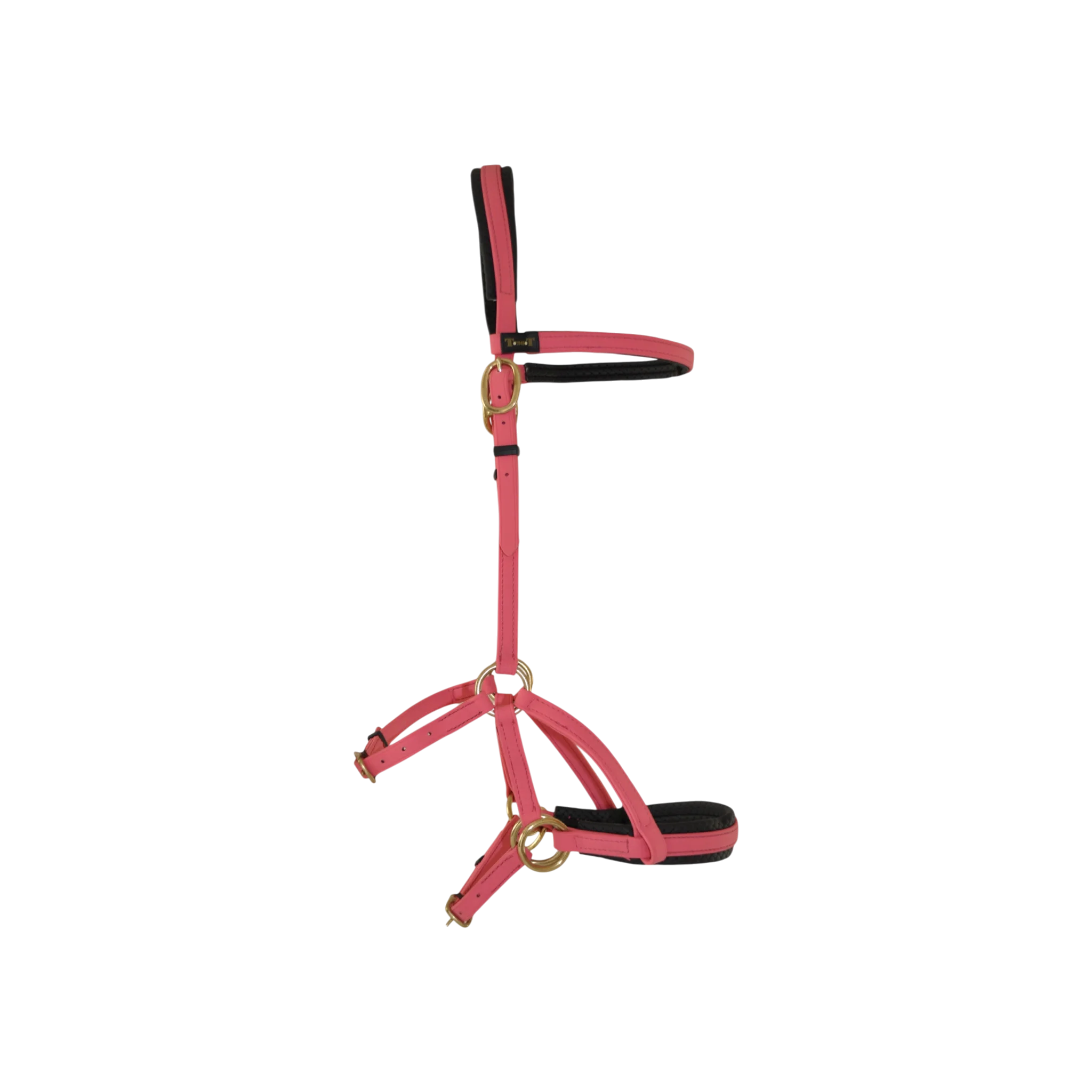 TdeT - Bridon Sidepull Biotack® rose