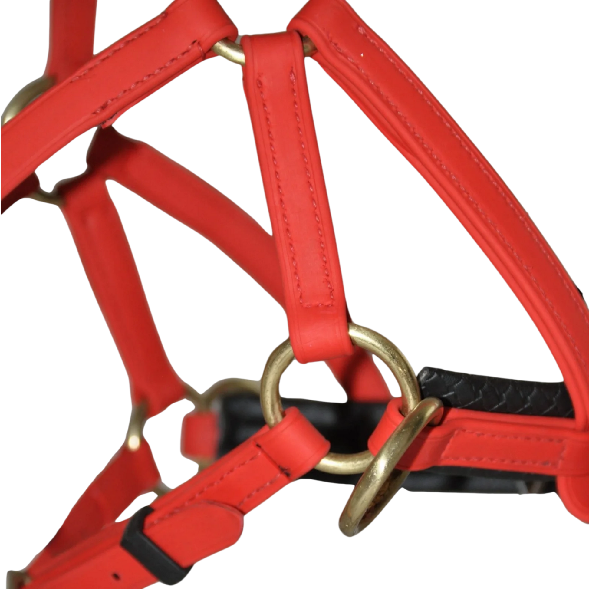 TdeT - Bridon Sidepull Biotack® rouge