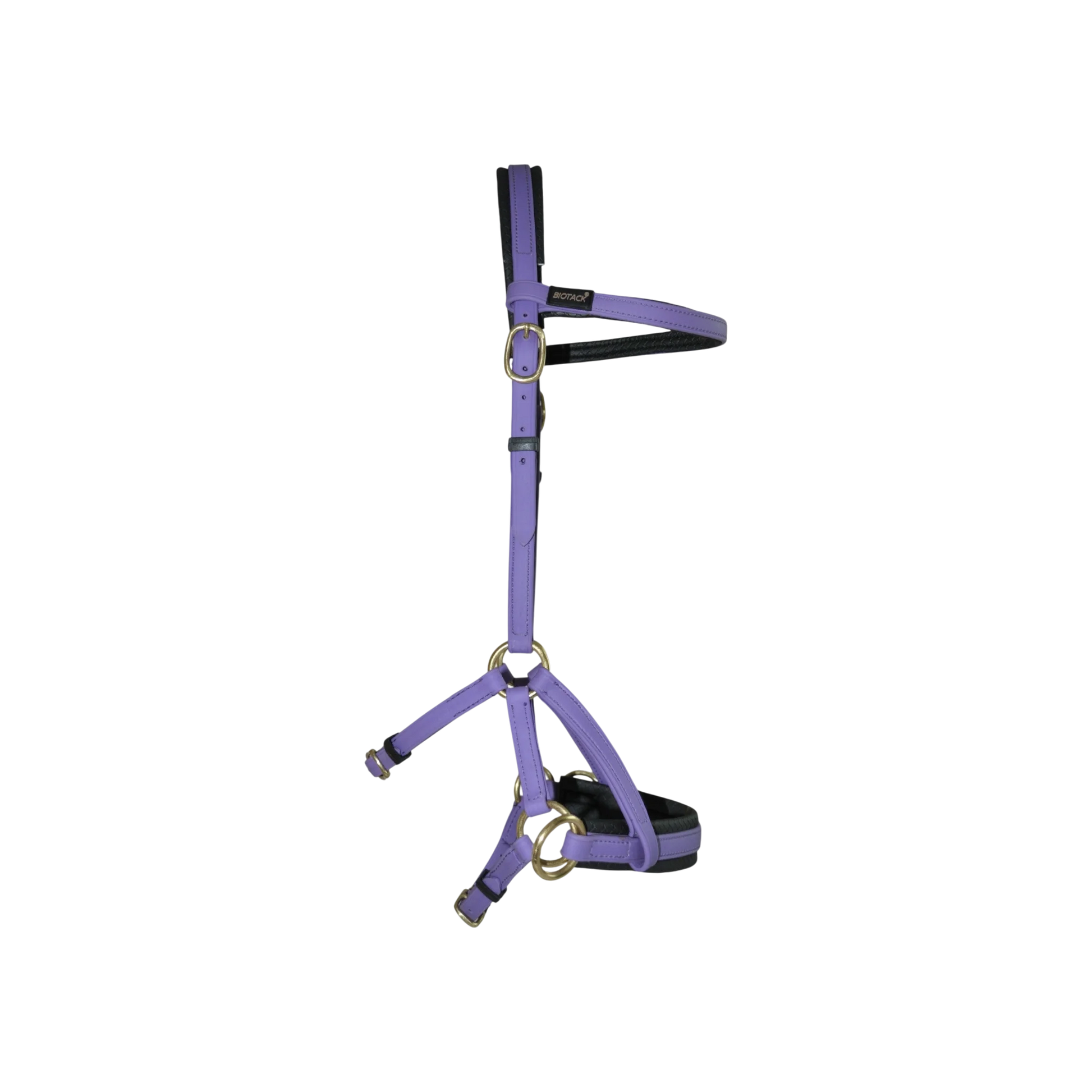 TdeT - Bridon Sidepull Biotack® violet