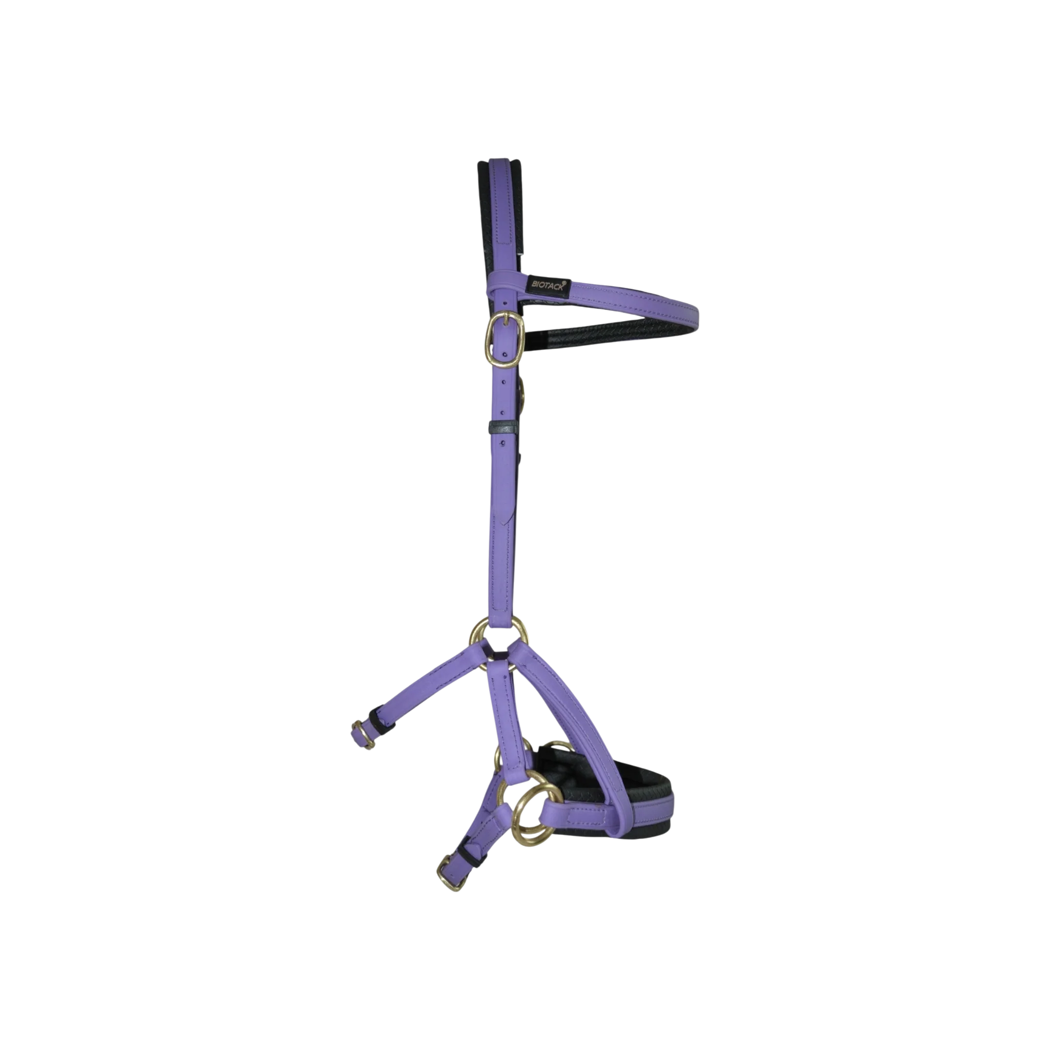 TdeT - Bridon Sidepull Biotack® violet