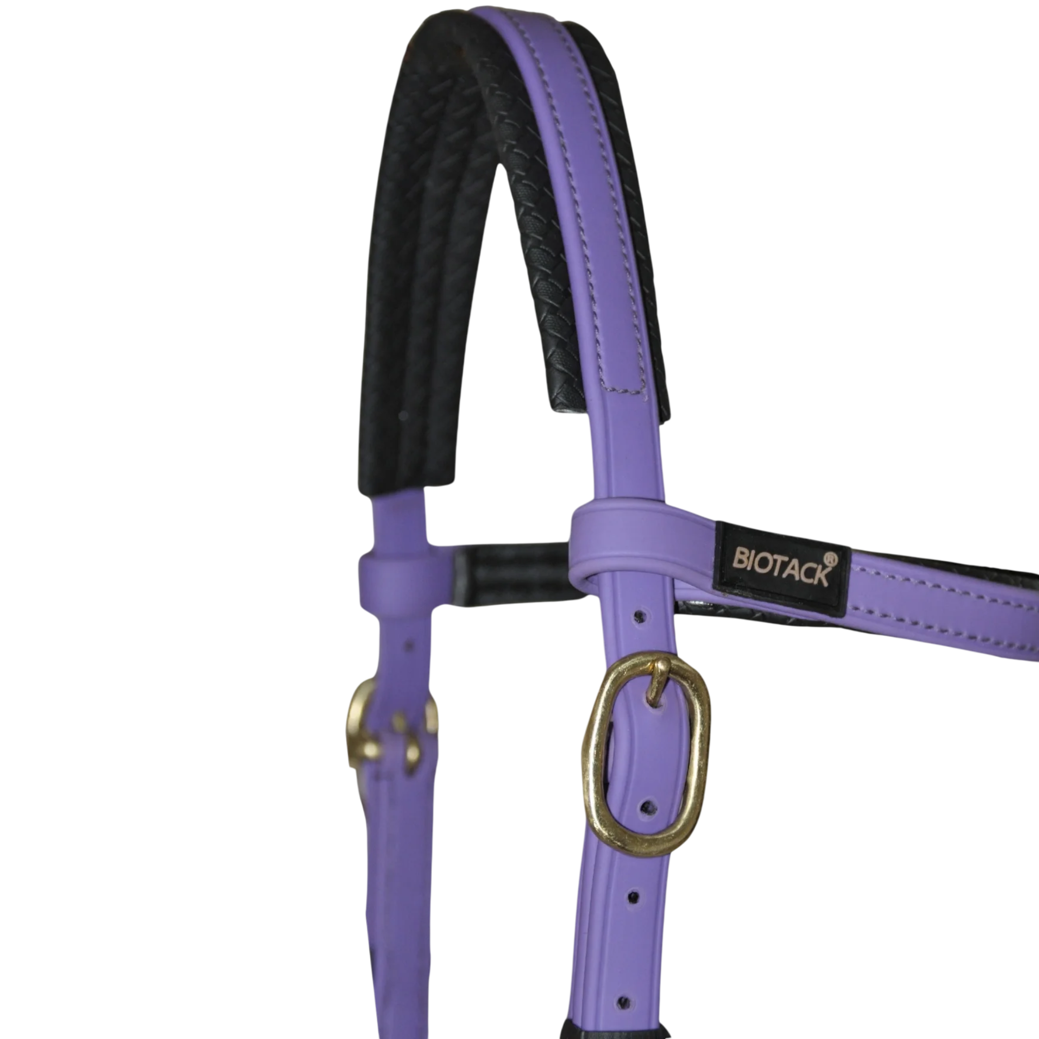 TdeT - Bridon Sidepull Biotack® violet