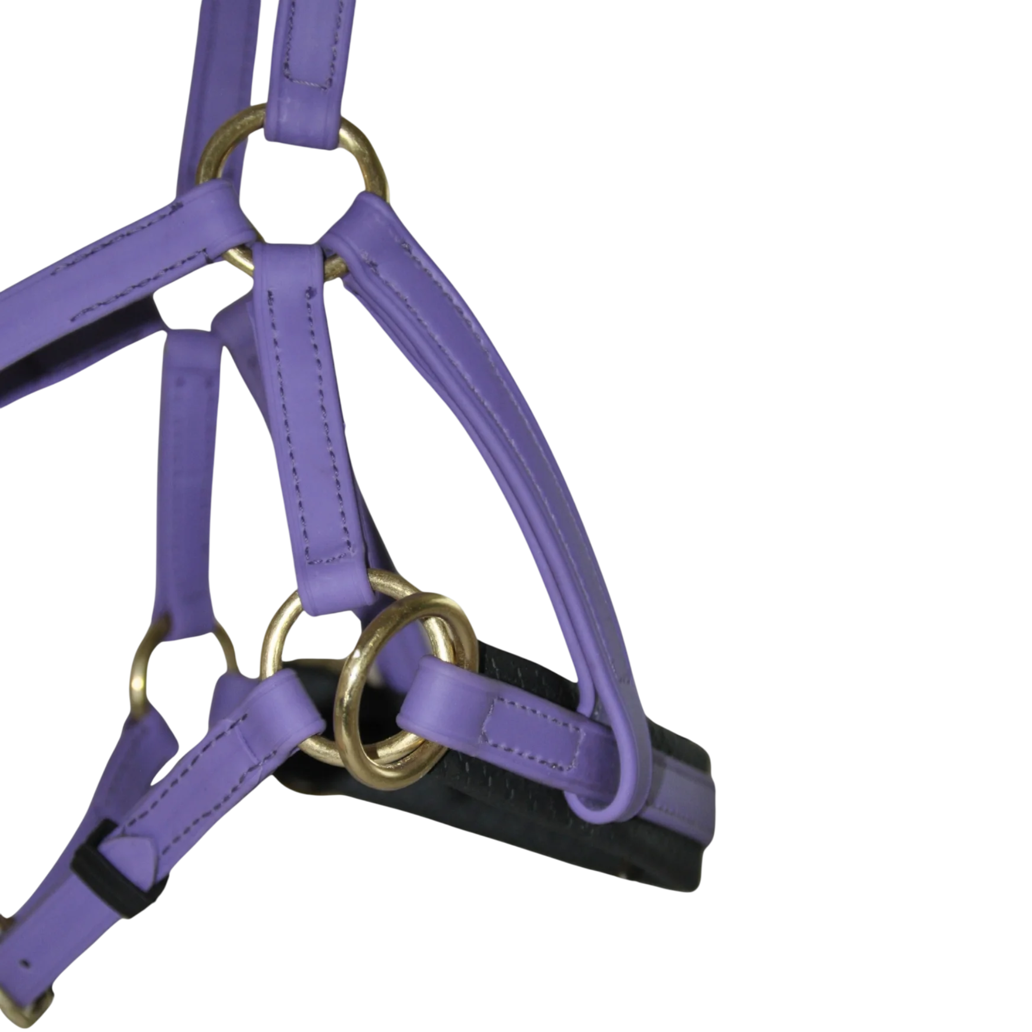 TdeT - Bridon Sidepull Biotack® violet