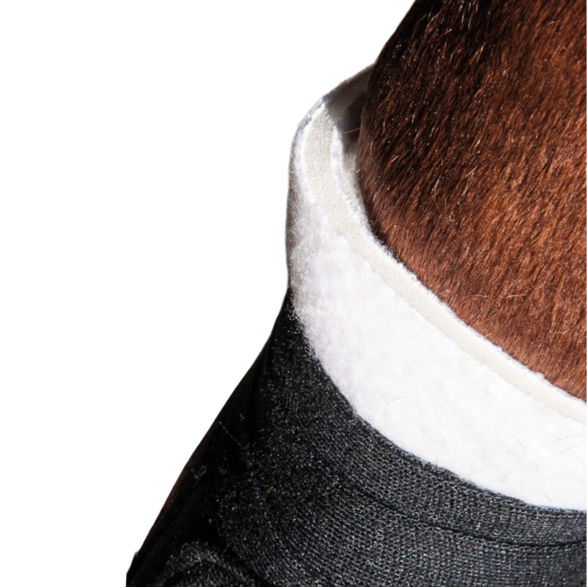 TdeT - Sous-bandages mousse blanc