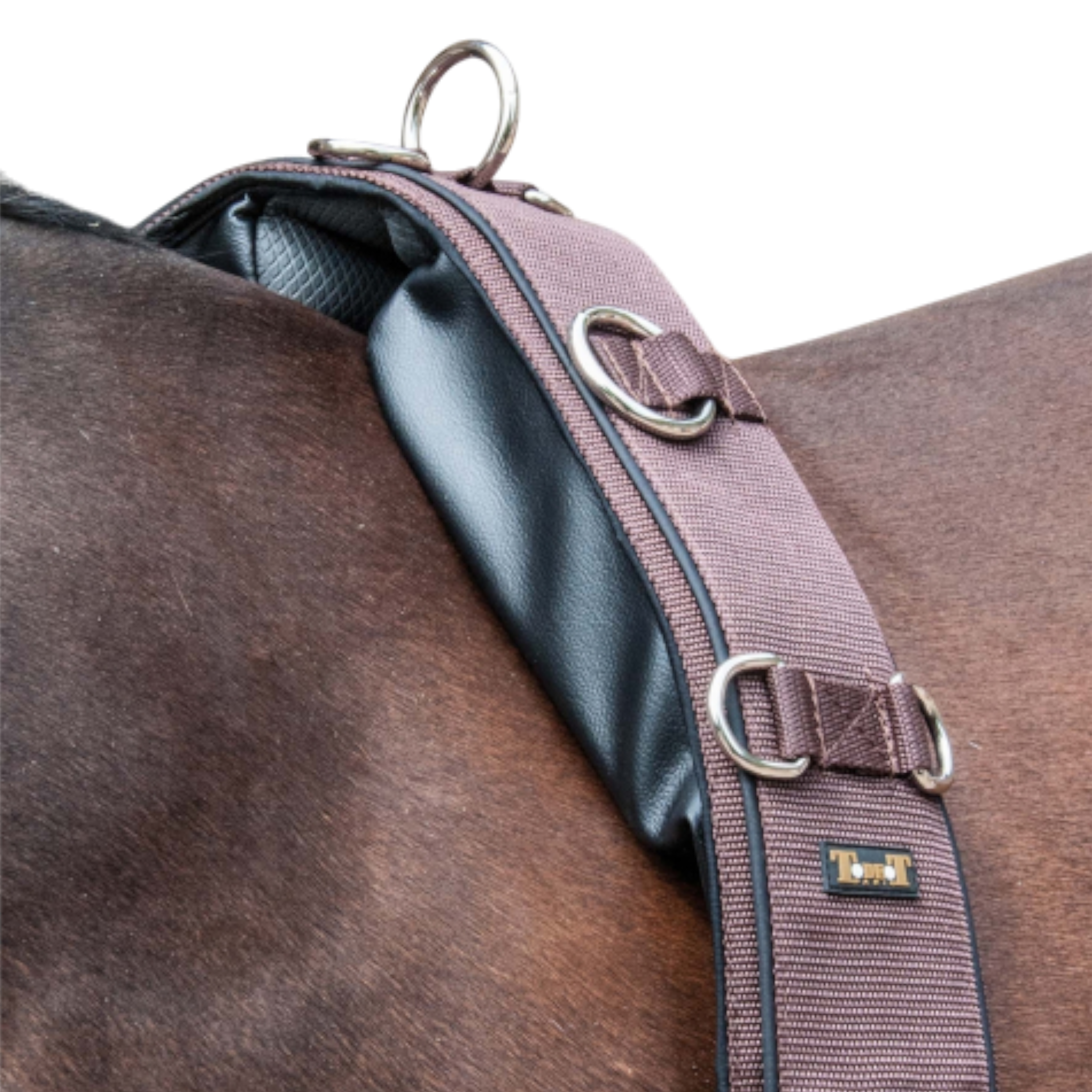 TdeT - Surfaix mémoire de forme marron noir