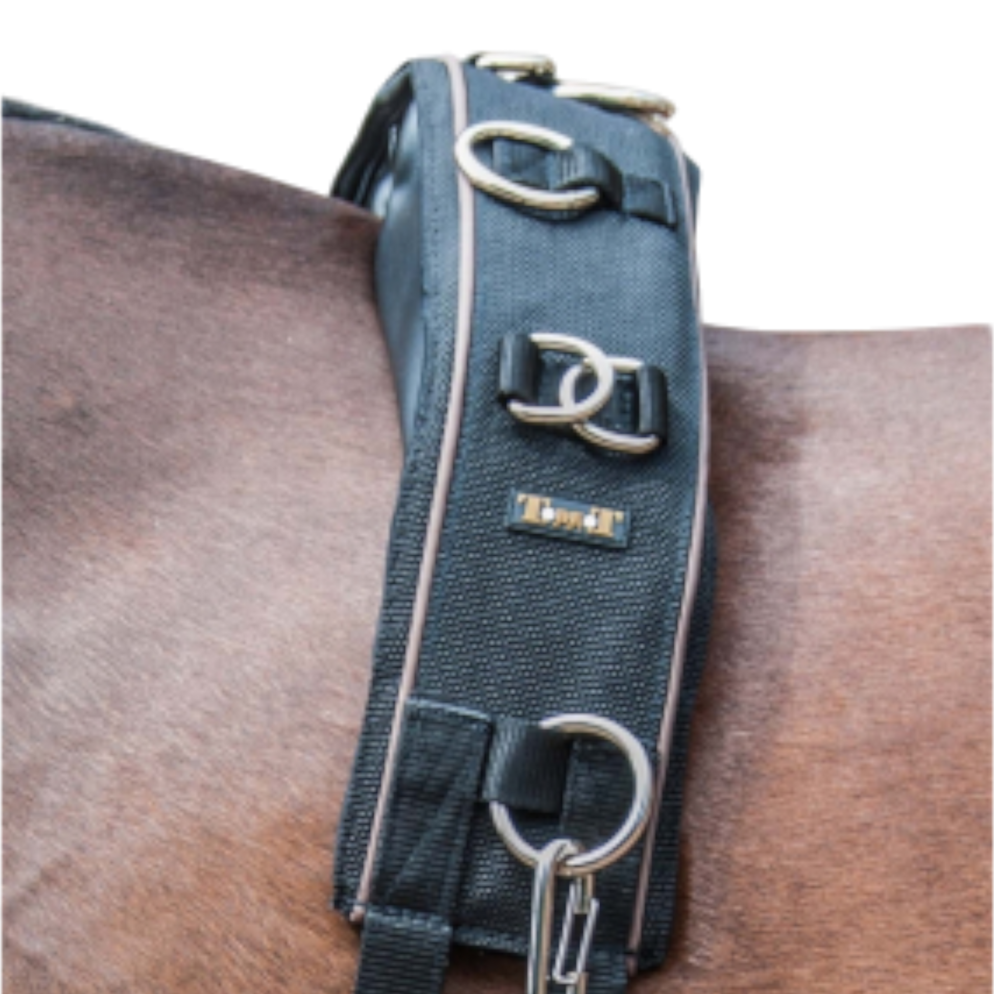 TdeT - Surfaix mémoire de forme noir marron