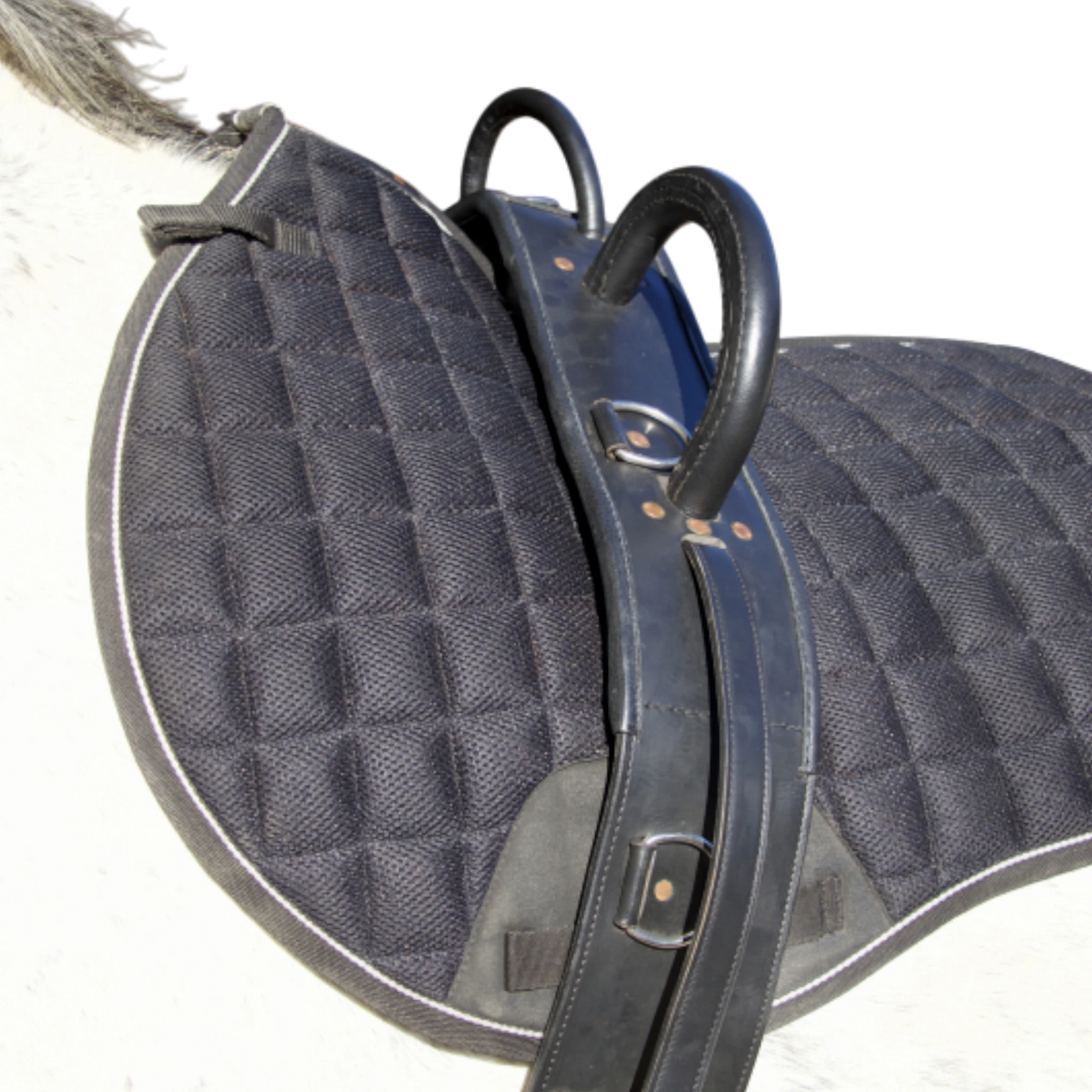 Tattini Surfaix De Voltige Avec Poignées En Caoutchouc – Complet Avec Sous-ventrière – Pour Cheval – Équipement D’équitation