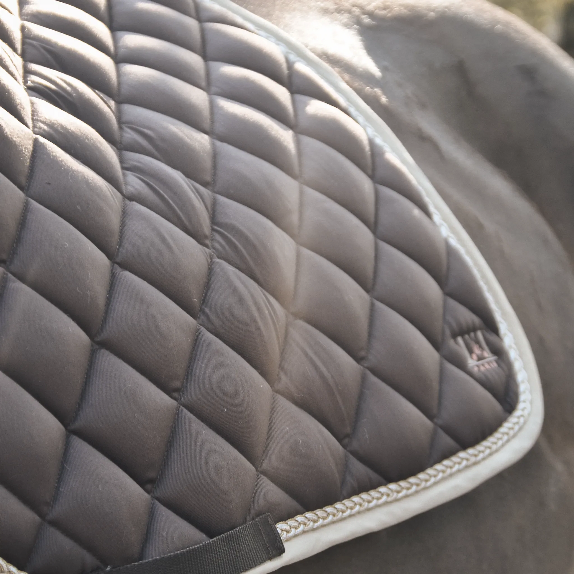 TdeT - Fontainebleau saddle pad brown/beige