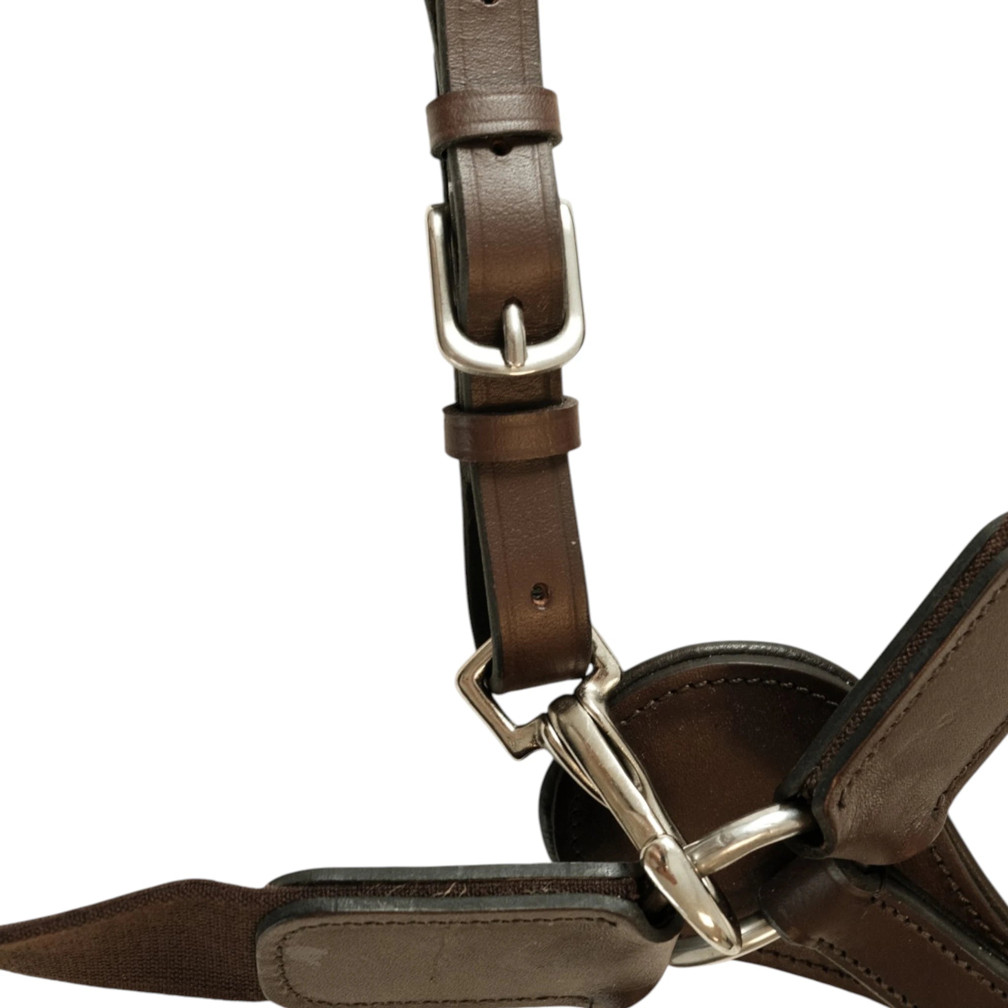 Tdet-Collier de chasse elastique havane fonce