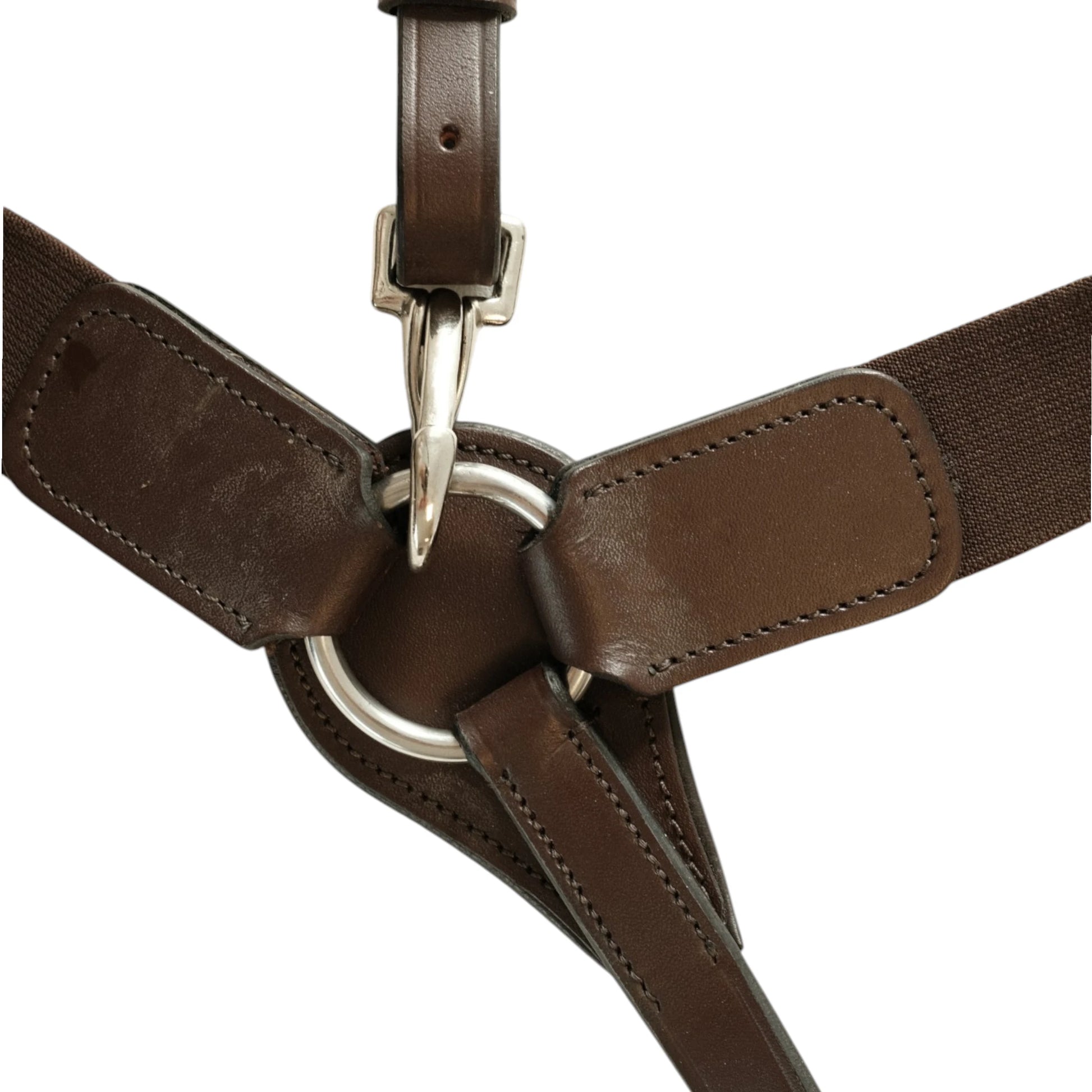 Tdet-Collier de chasse elastique havane fonce