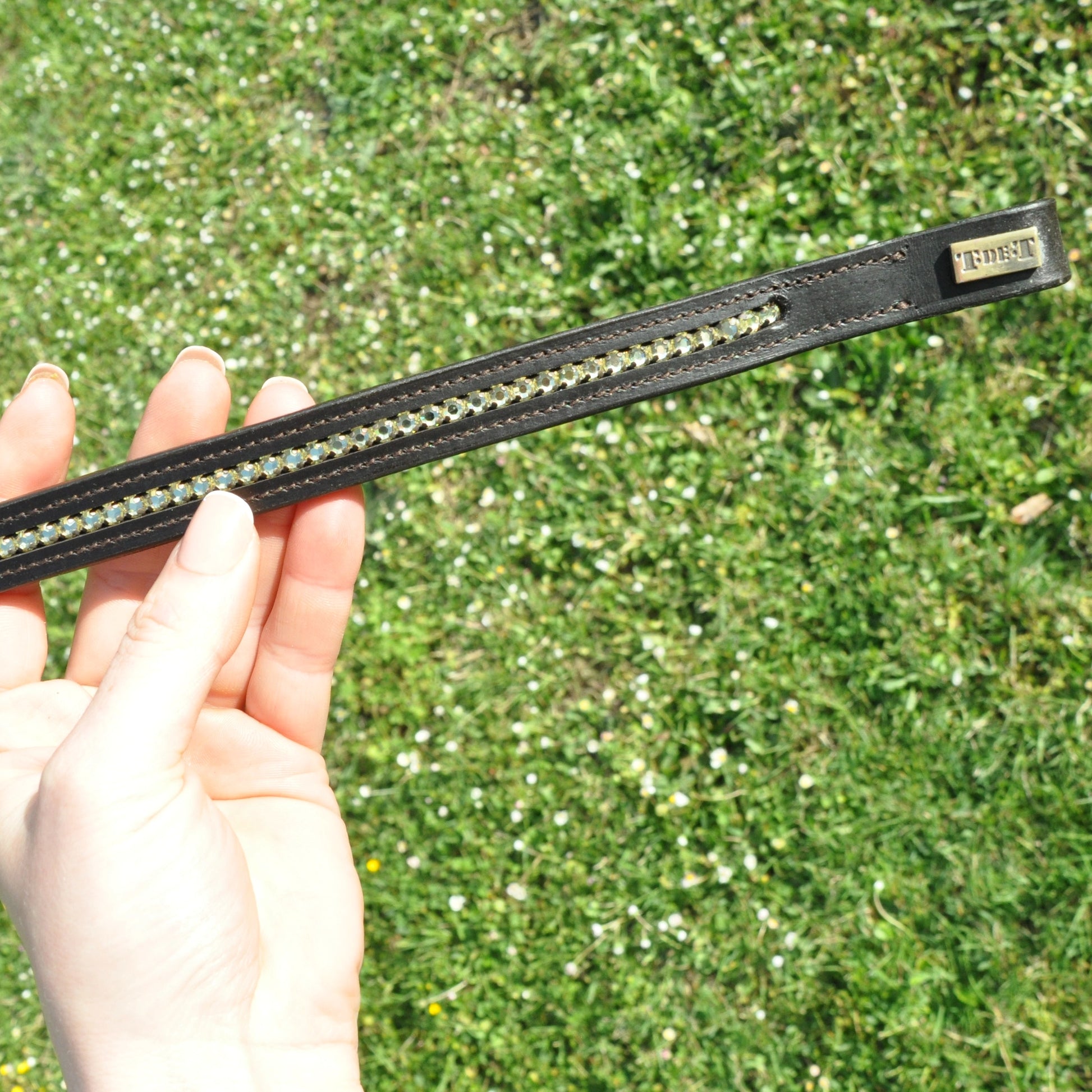 TdeT - Frontal Diamant Aurora havane/ or