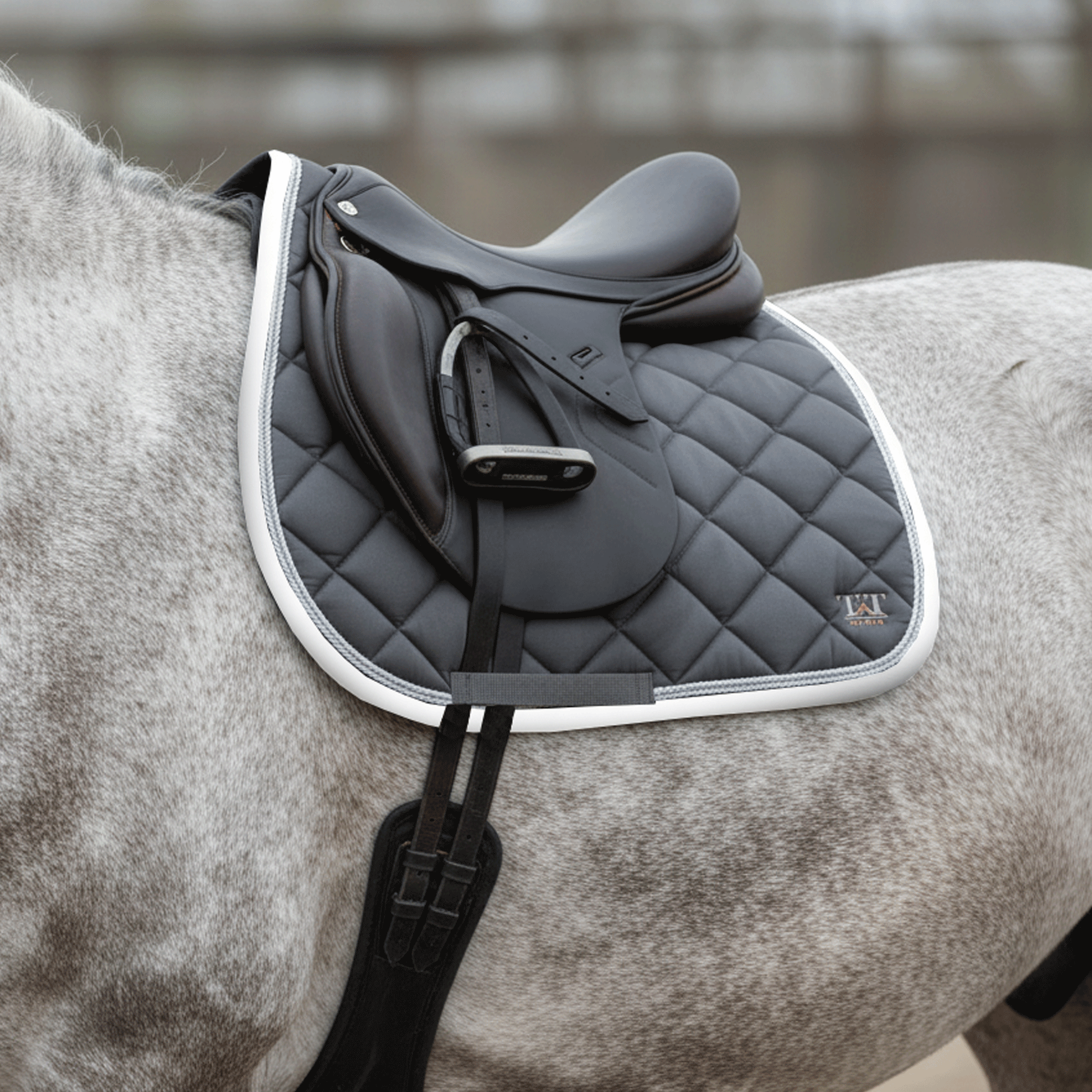 TdeT - Tapis de CSO Fontainebleau gris blanc