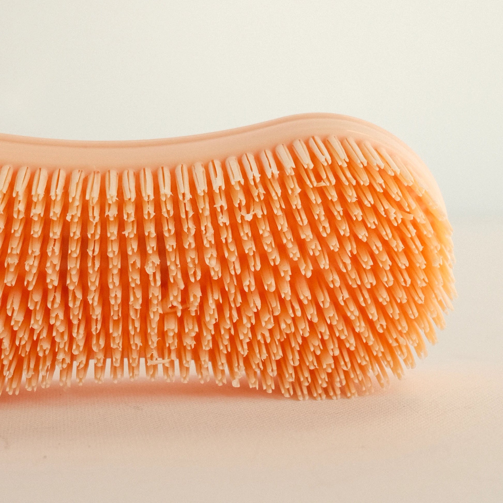 TdeT - Etrille Magic Brush peche