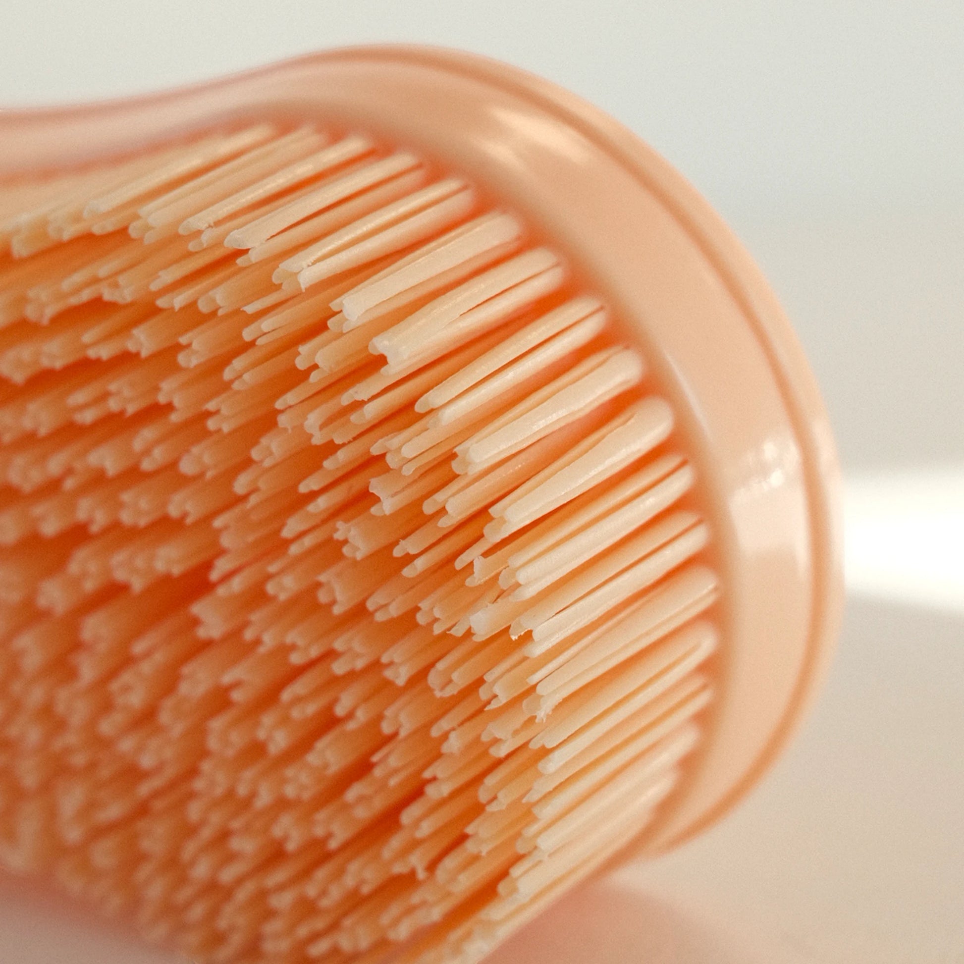 TdeT - Etrille Magic Brush peche