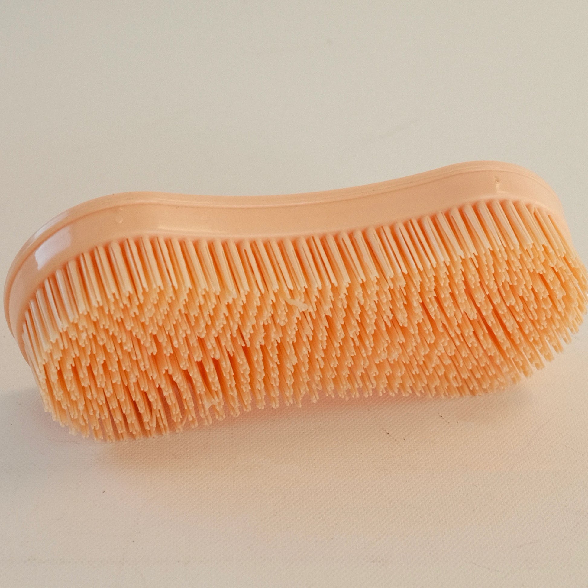 TdeT - Etrille Magic Brush peche