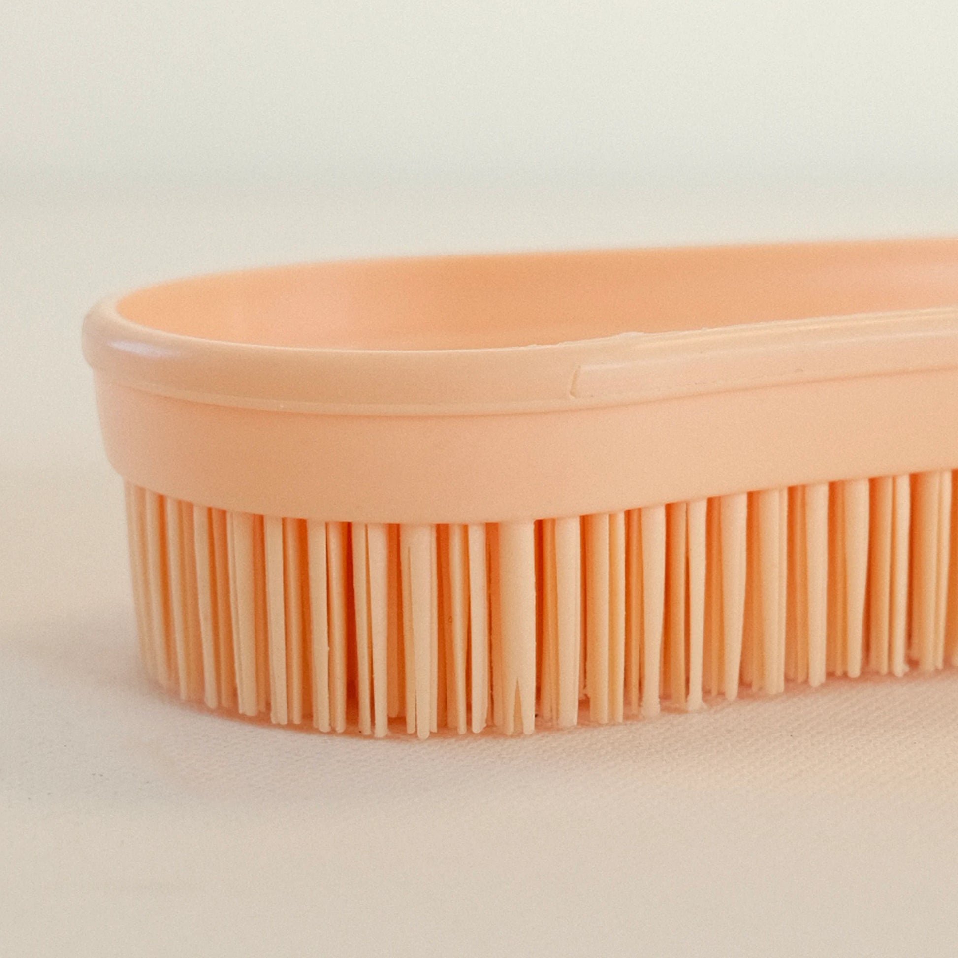 TdeT - Etrille Magic Brush peche