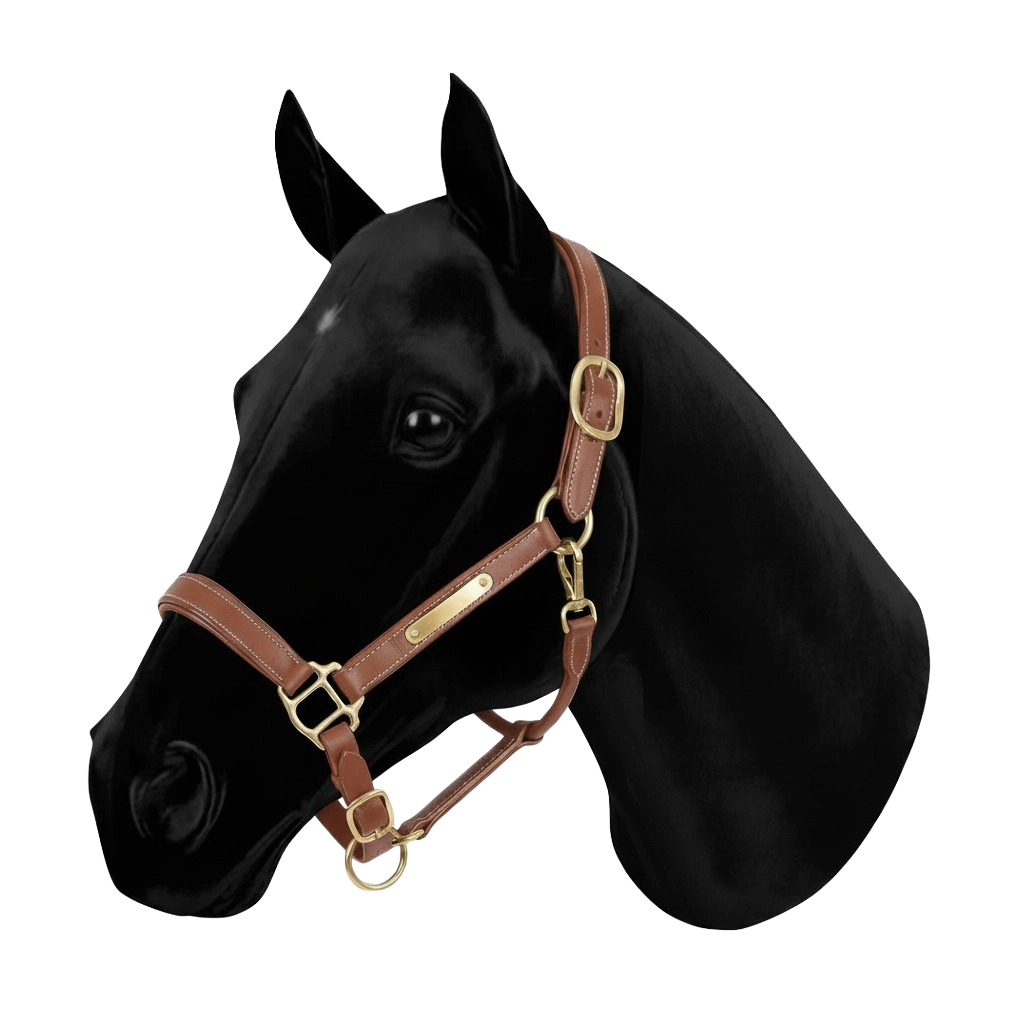 Classic leather halter