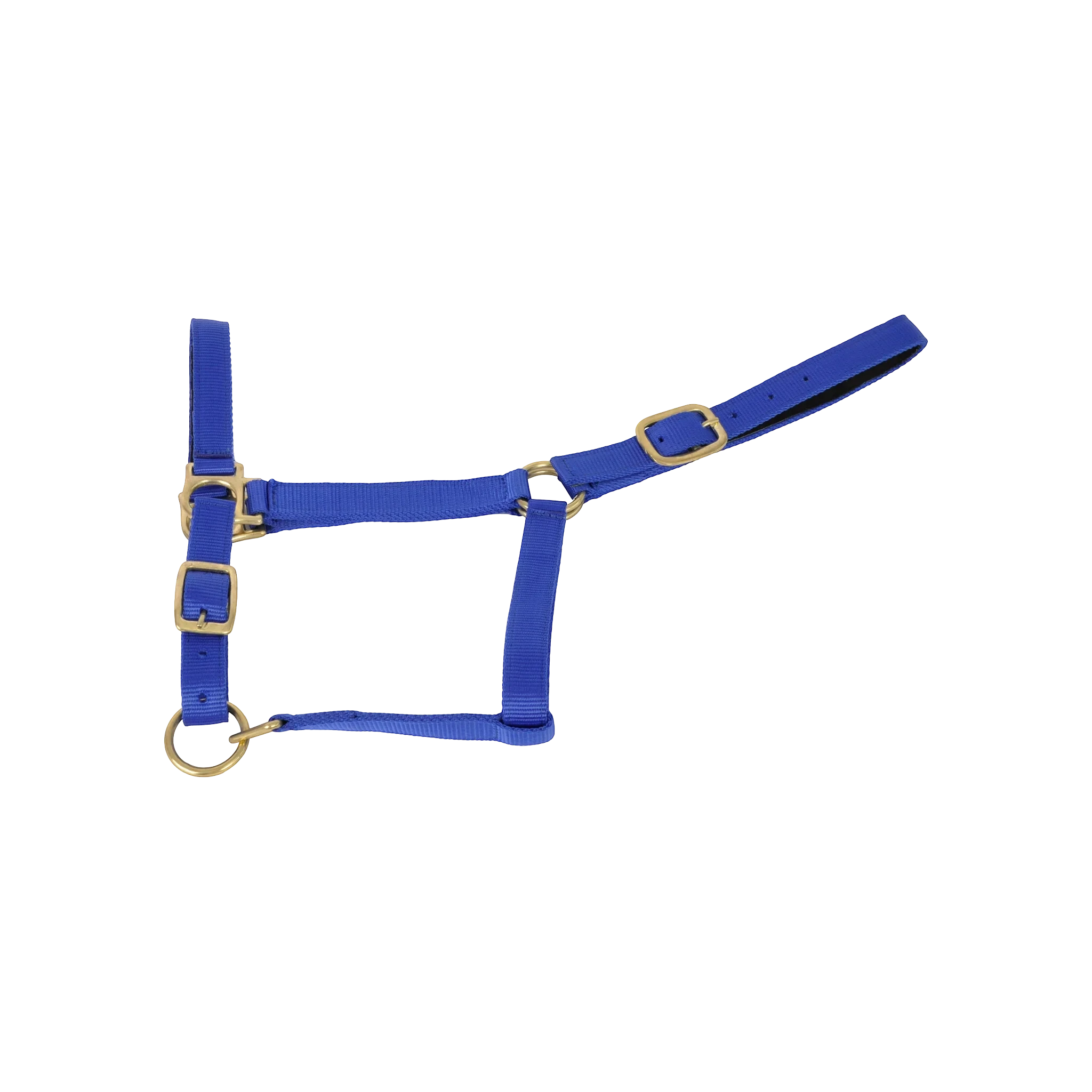 TdeT - Synthetic suede-lined halter royal blue