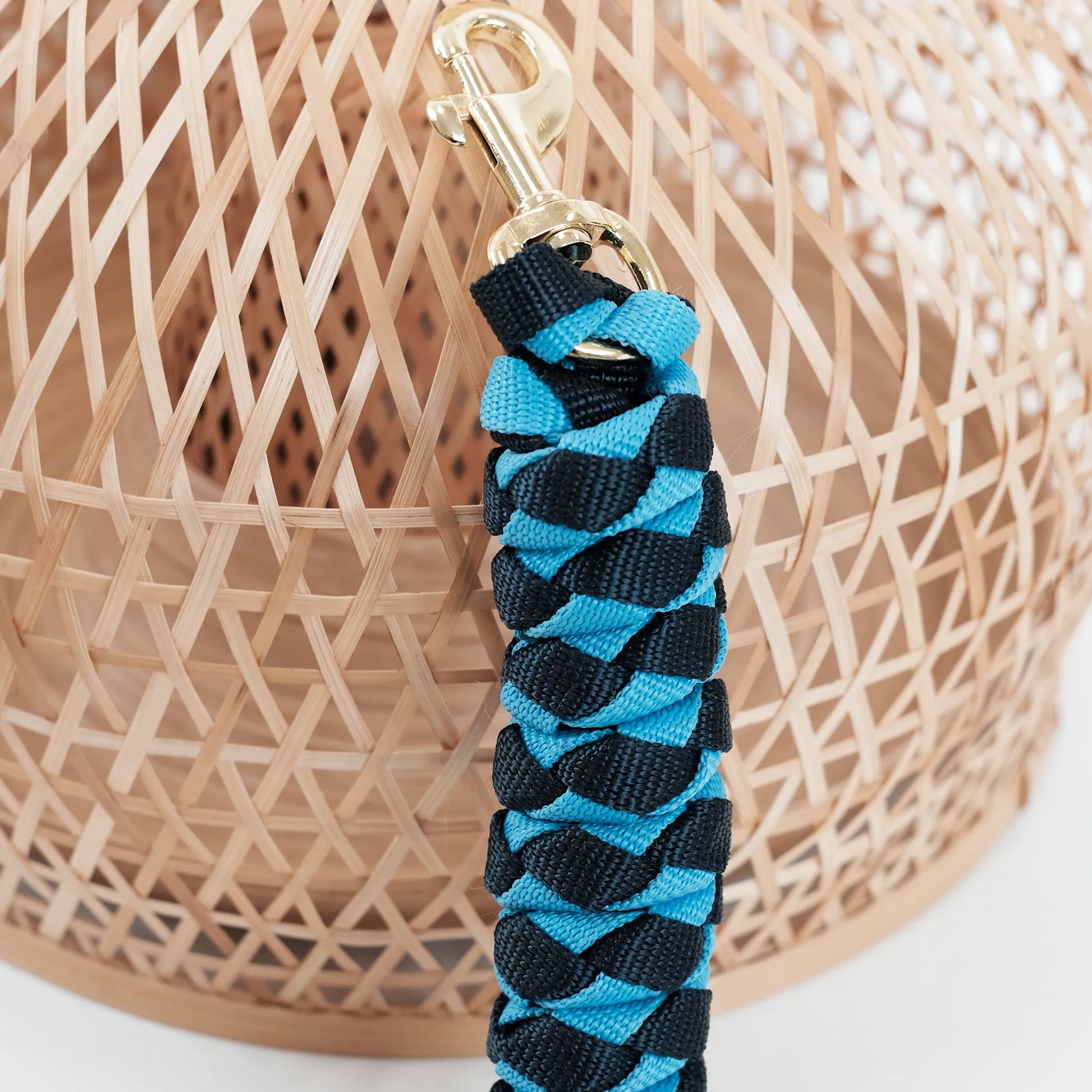 TdeT - American lead rope navy/sky blue