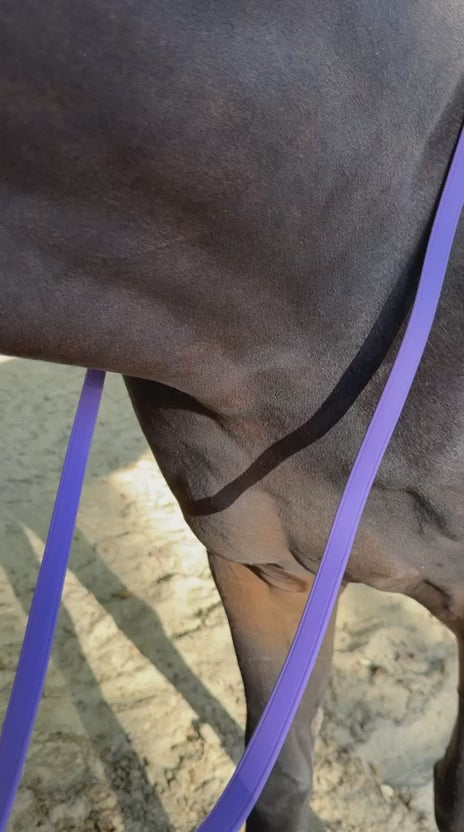 Charger la vidéo : TdeT-Renes Biotack lisses Violet