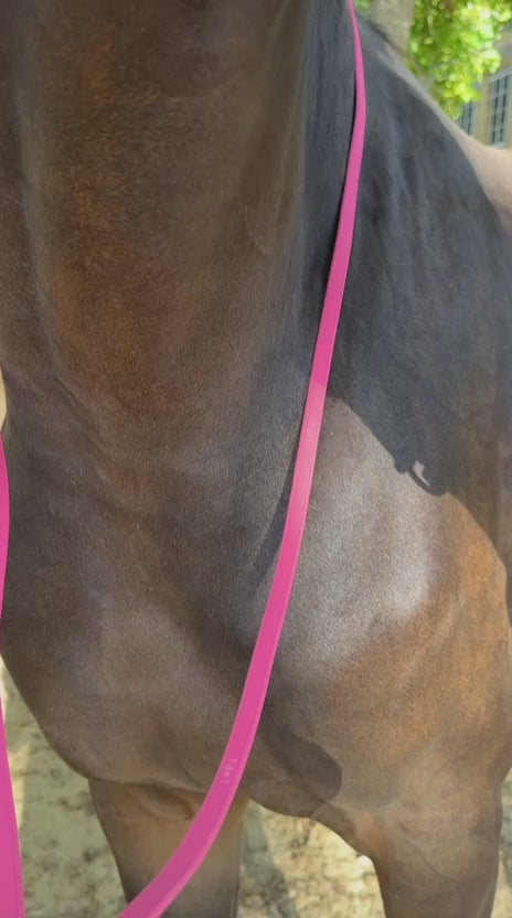 TdeT-Renes Biotack lisses Rose