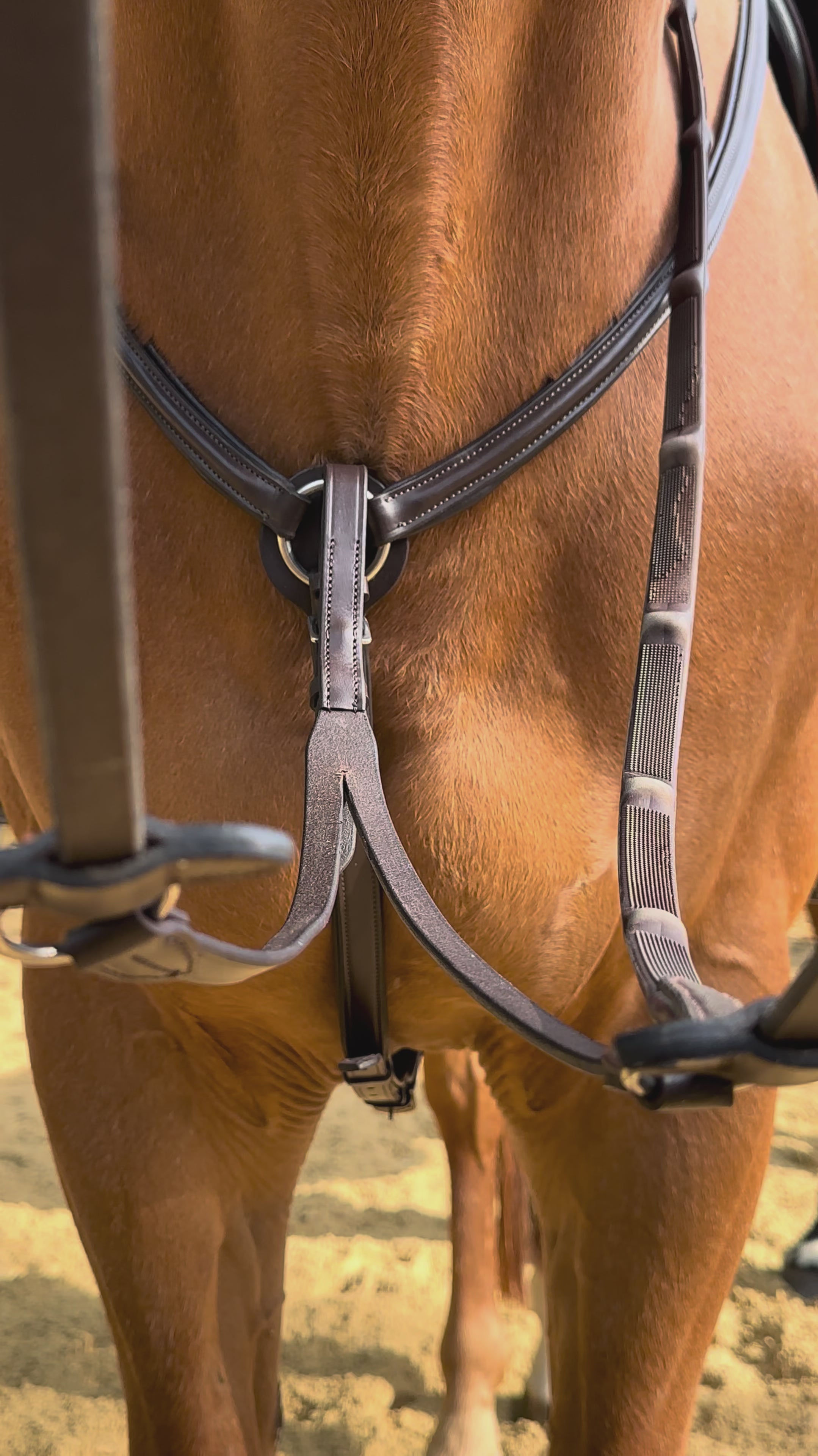 Load video: Lined breastplate