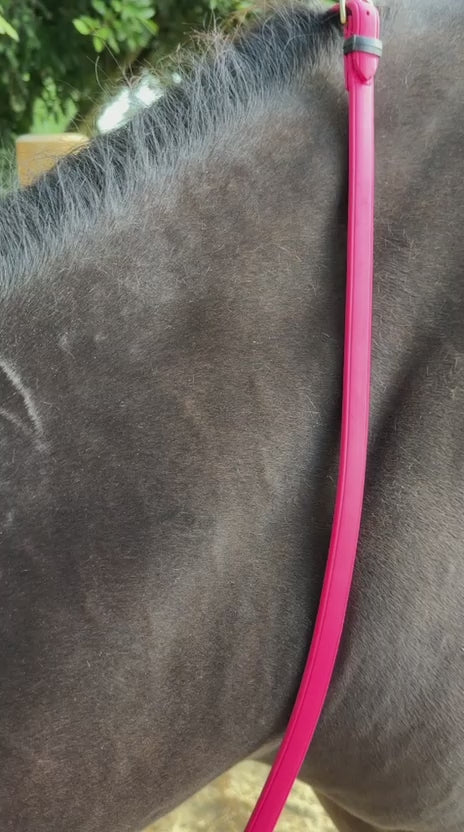 Charger la vidéo : TdeT-Renes Biotack lisses Fuchsia