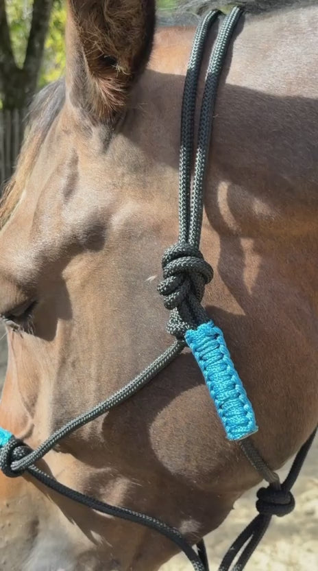Charger la vidéo : TdeT - Licol éthologique Confort noir/ turquoise