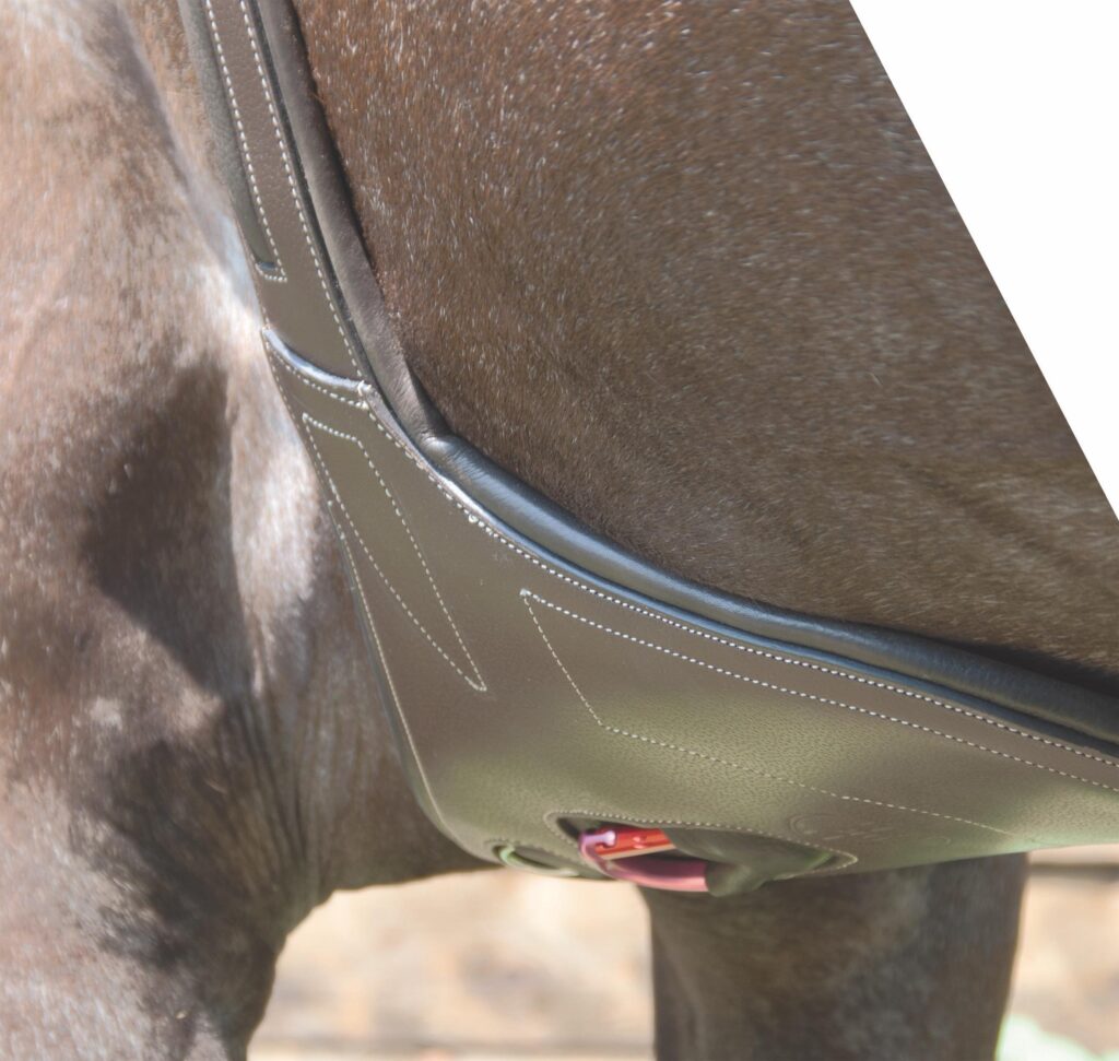 La sangle bavette est recommandée pour certaines disciplines d'équitation comme le CSO et le cross. Elle protège le cheval des potentiels coups de crampons.