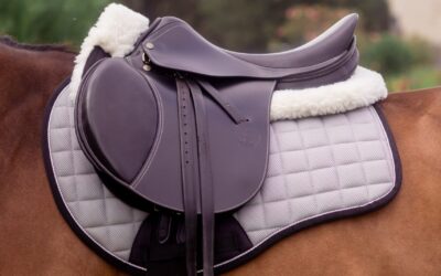 Le tapis de selle adapté à la morphologie de son cheval